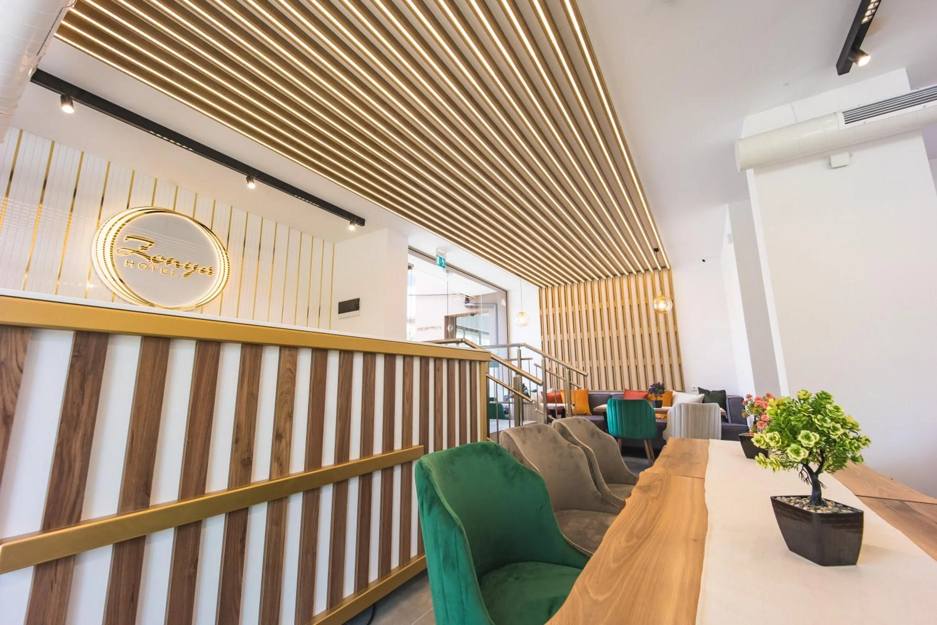 Restaurant/places to eat in Hotel Zonya