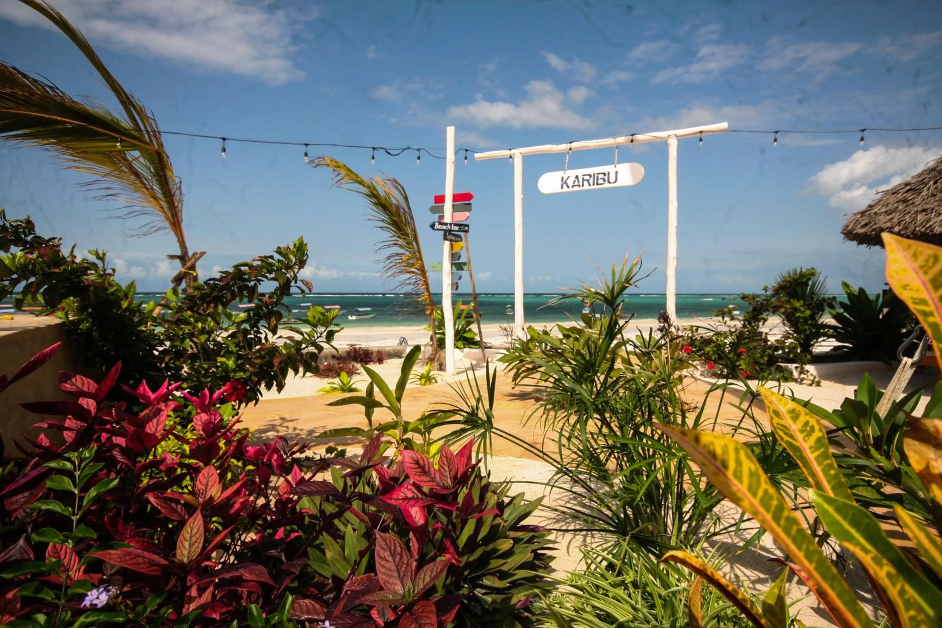Garden in Alladin Boutique Beach Hotel and SPA Zanzibar