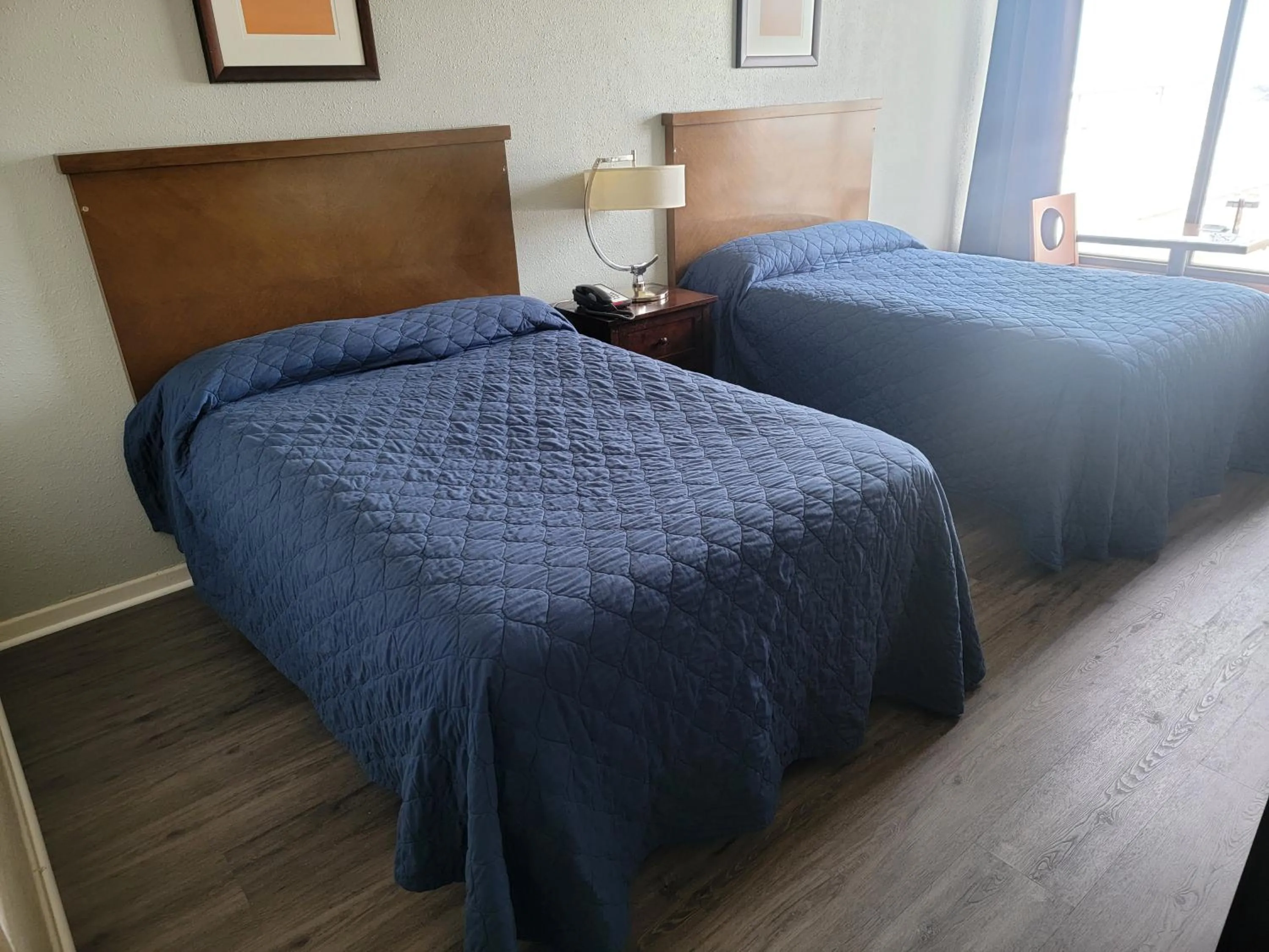 Bed in USA Economy Lodge