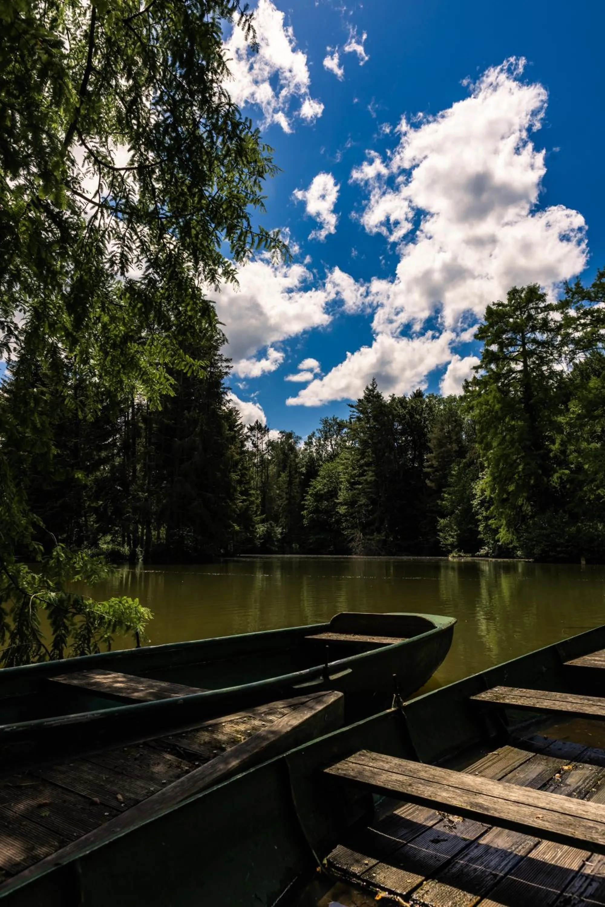 Garden in Hotel Dammenmühle