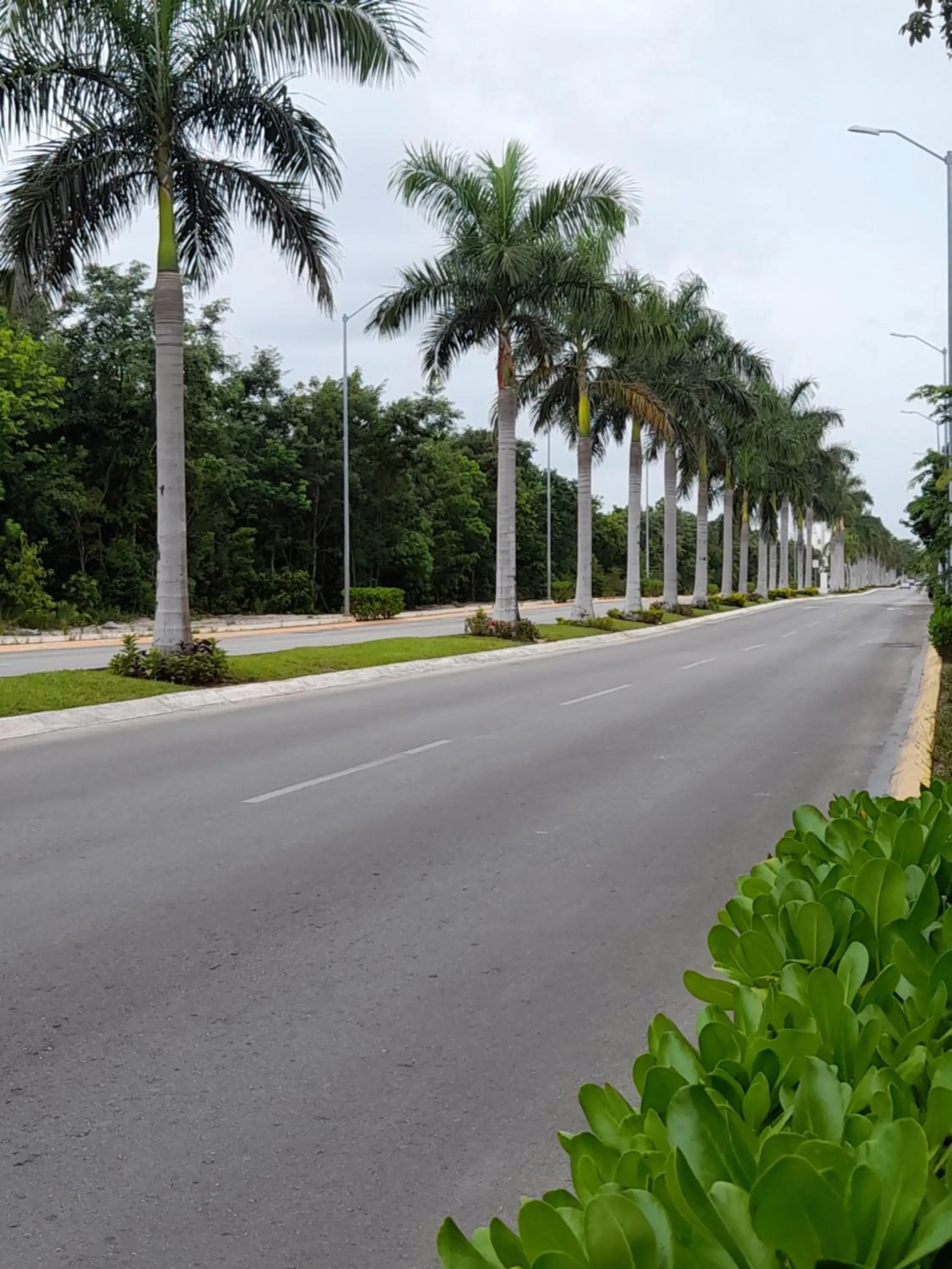 Neighbourhood in Gorgeous Apartment HOEStel Long Island!