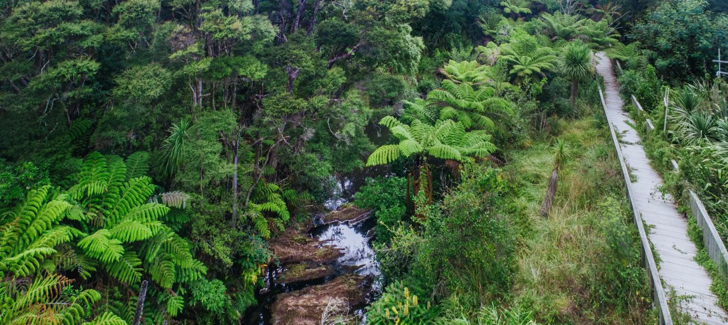 Property building in Sunrise Garden Suites