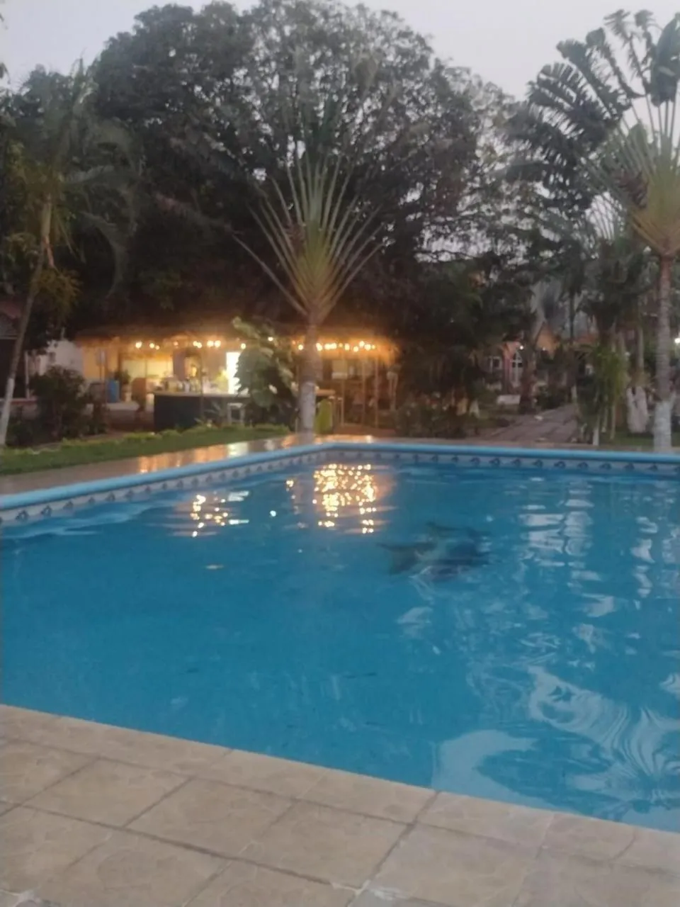 Swimming pool in Hotel HF Hacienda San Francisco