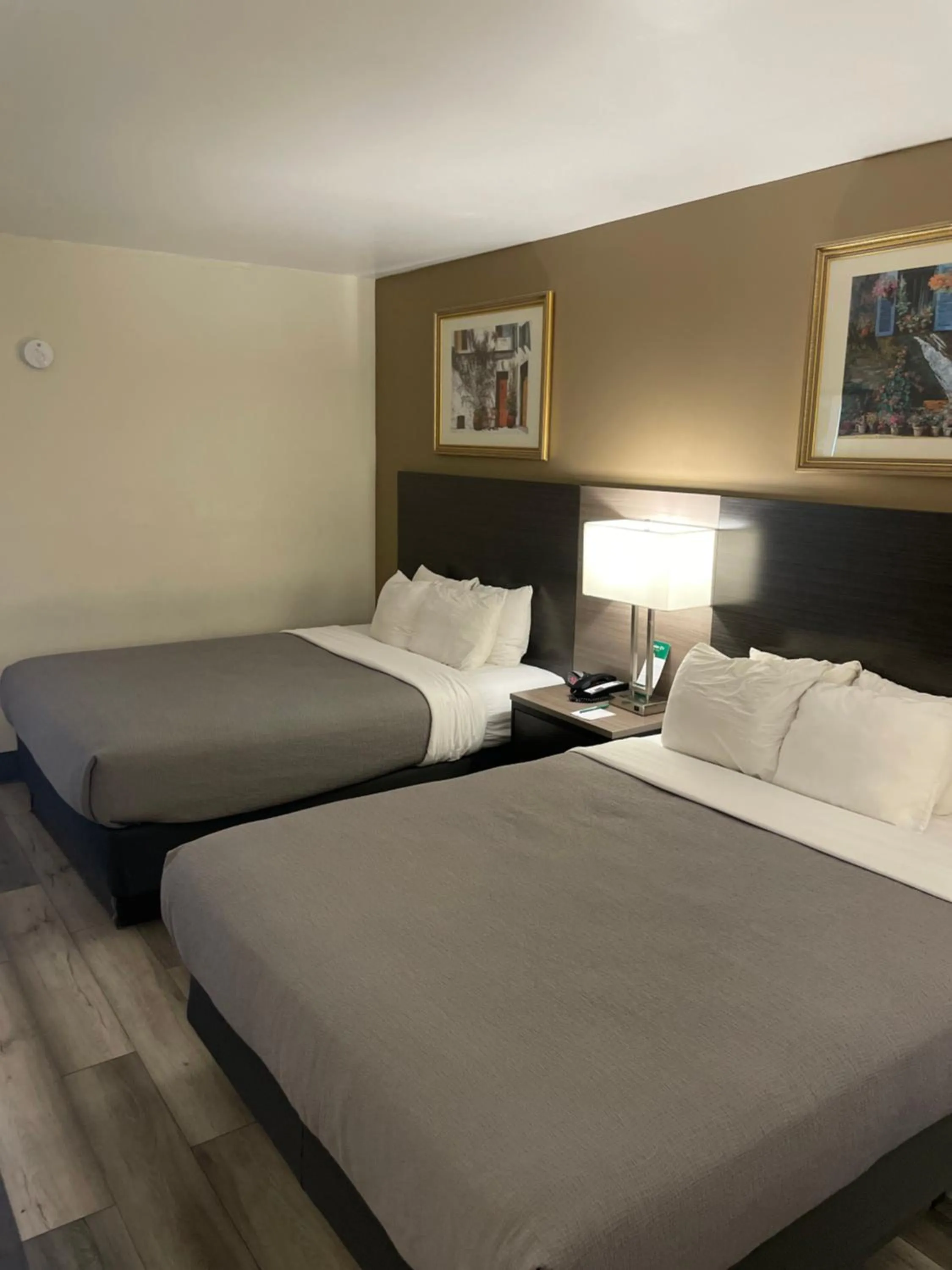 Bedroom, Bed in Quality Inn & Suites Goodyear - Phoenix West