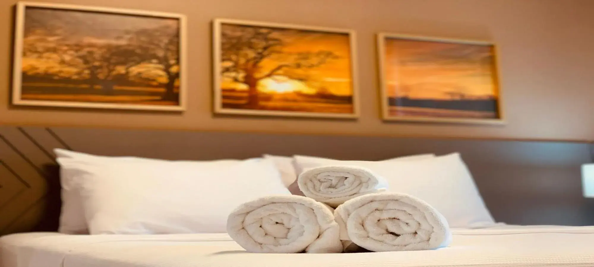 Double or Twin Room - single occupancy in DM HOTEL Double or Twin Room - single occupancy in DM HOTEL