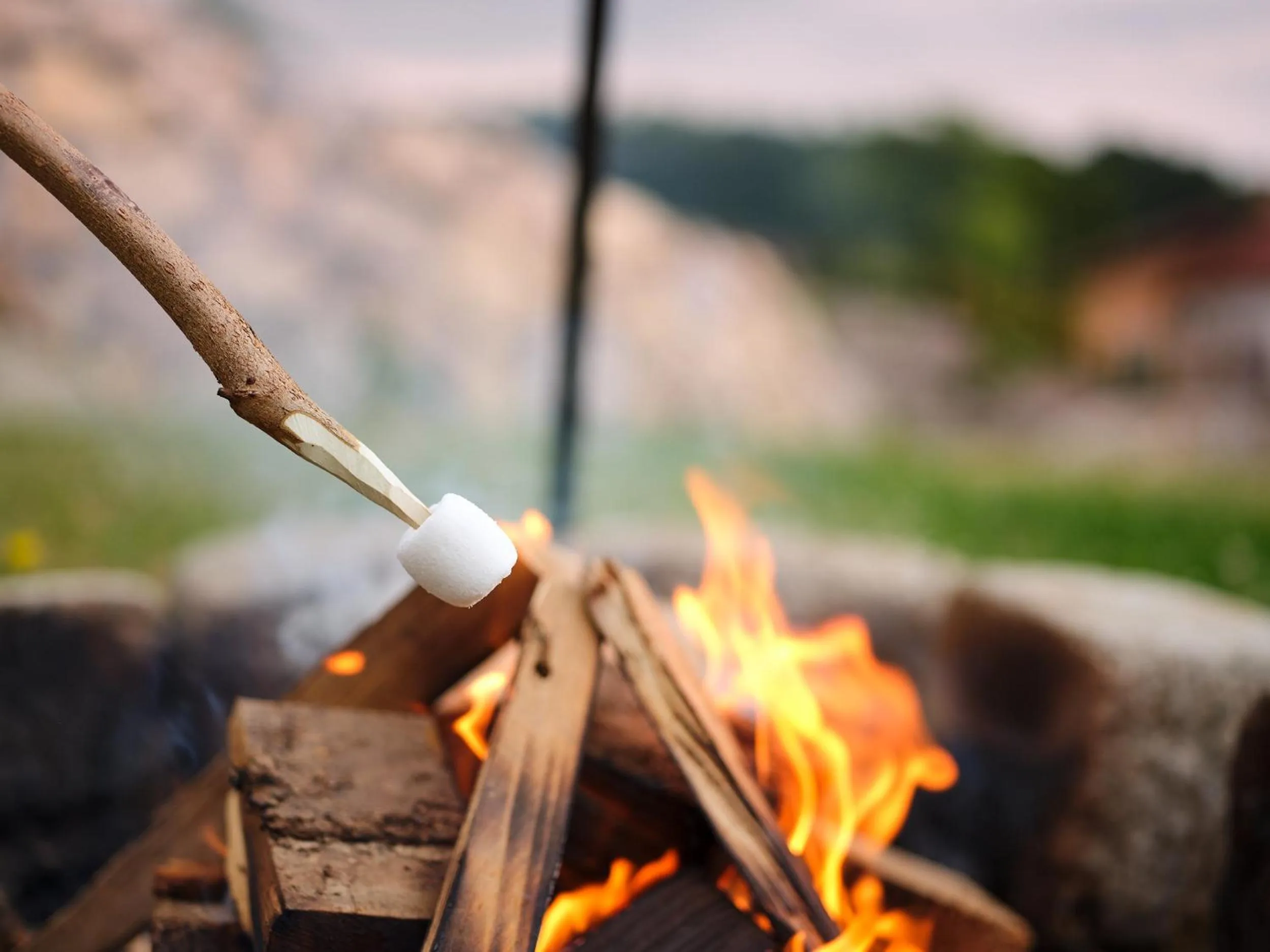 BBQ facilities in Mayr-Hof (Mank)