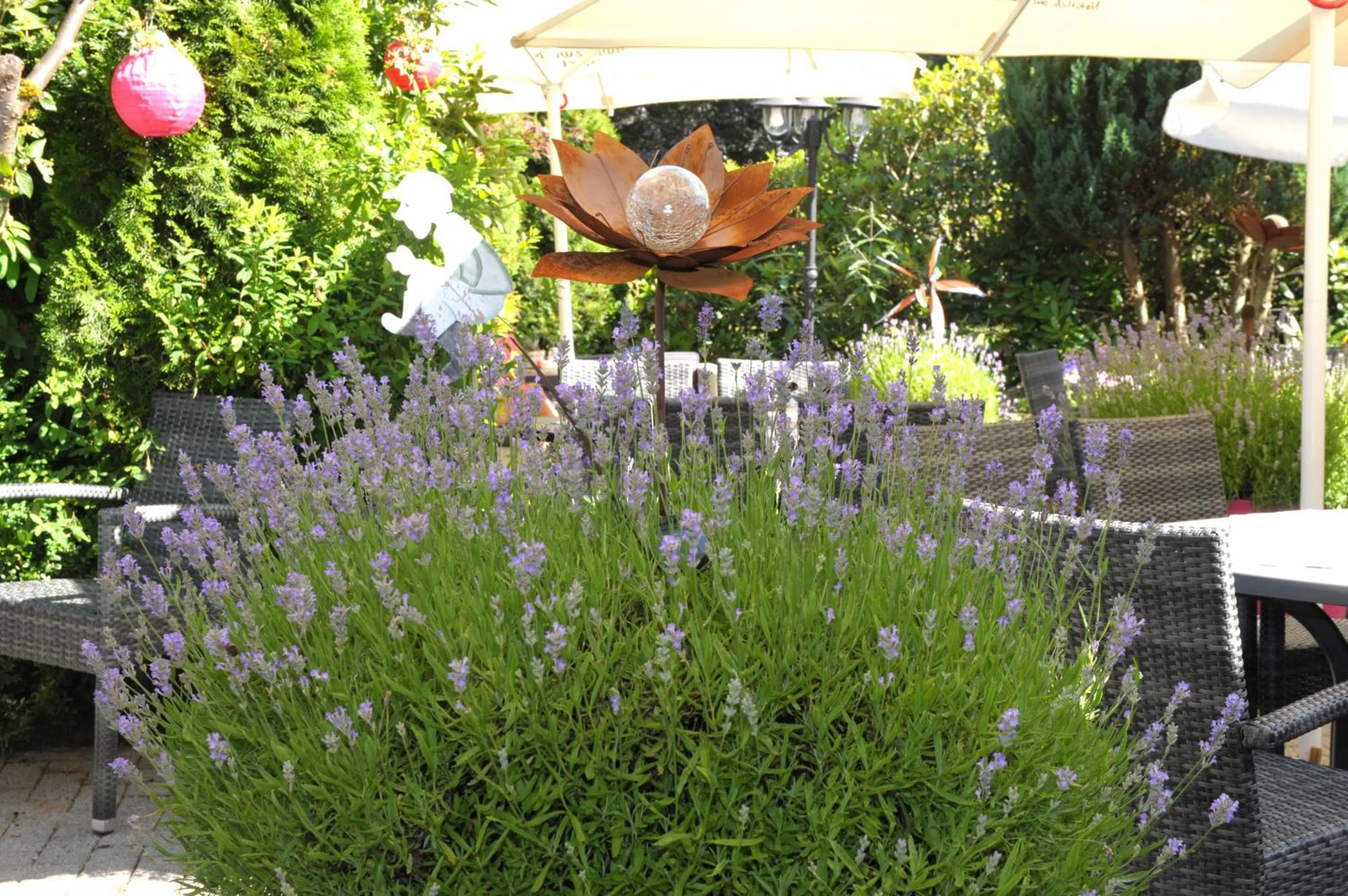 Garden in Hotel Sarbacher