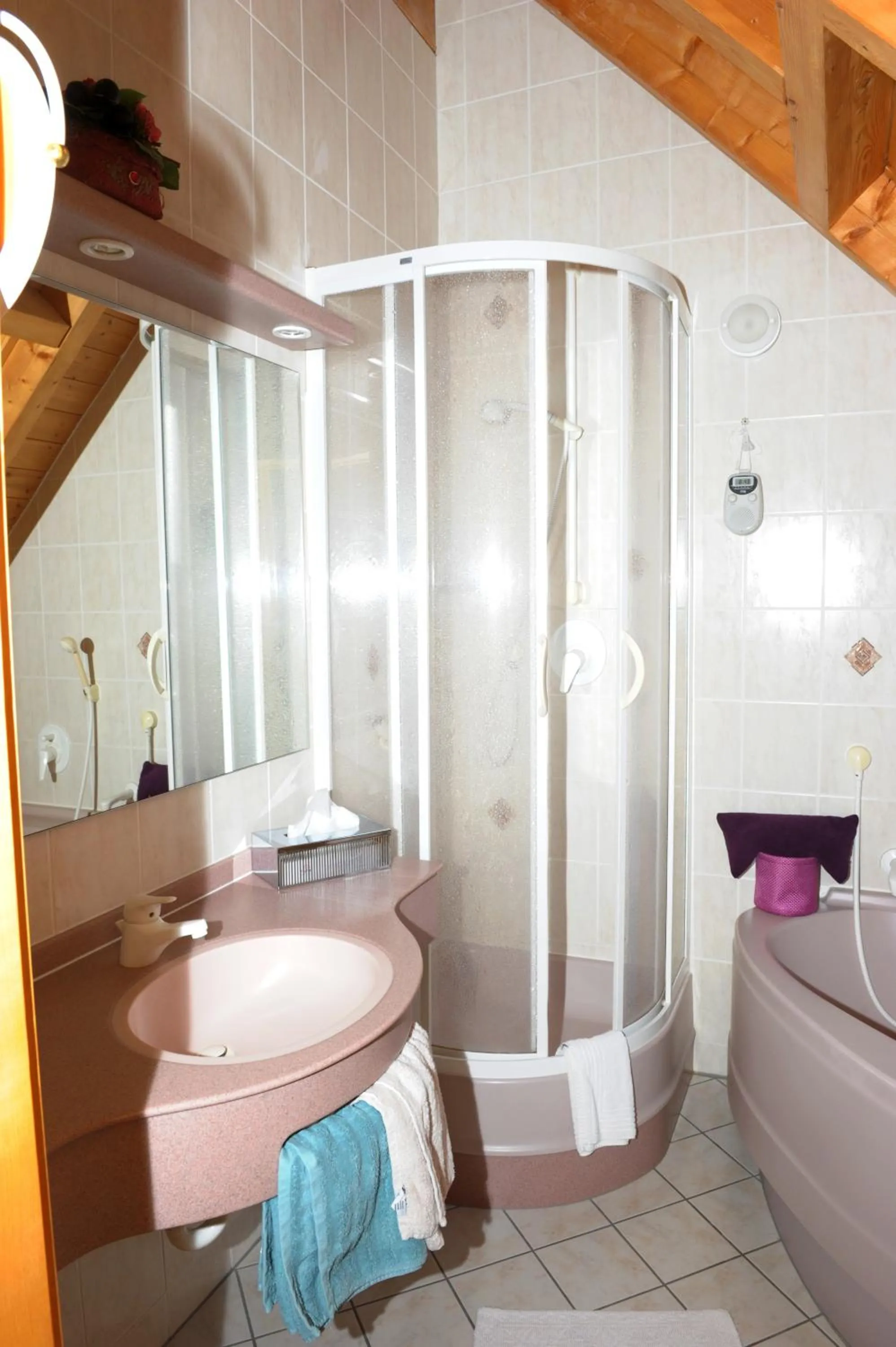 Bathroom in Hotel Sarbacher