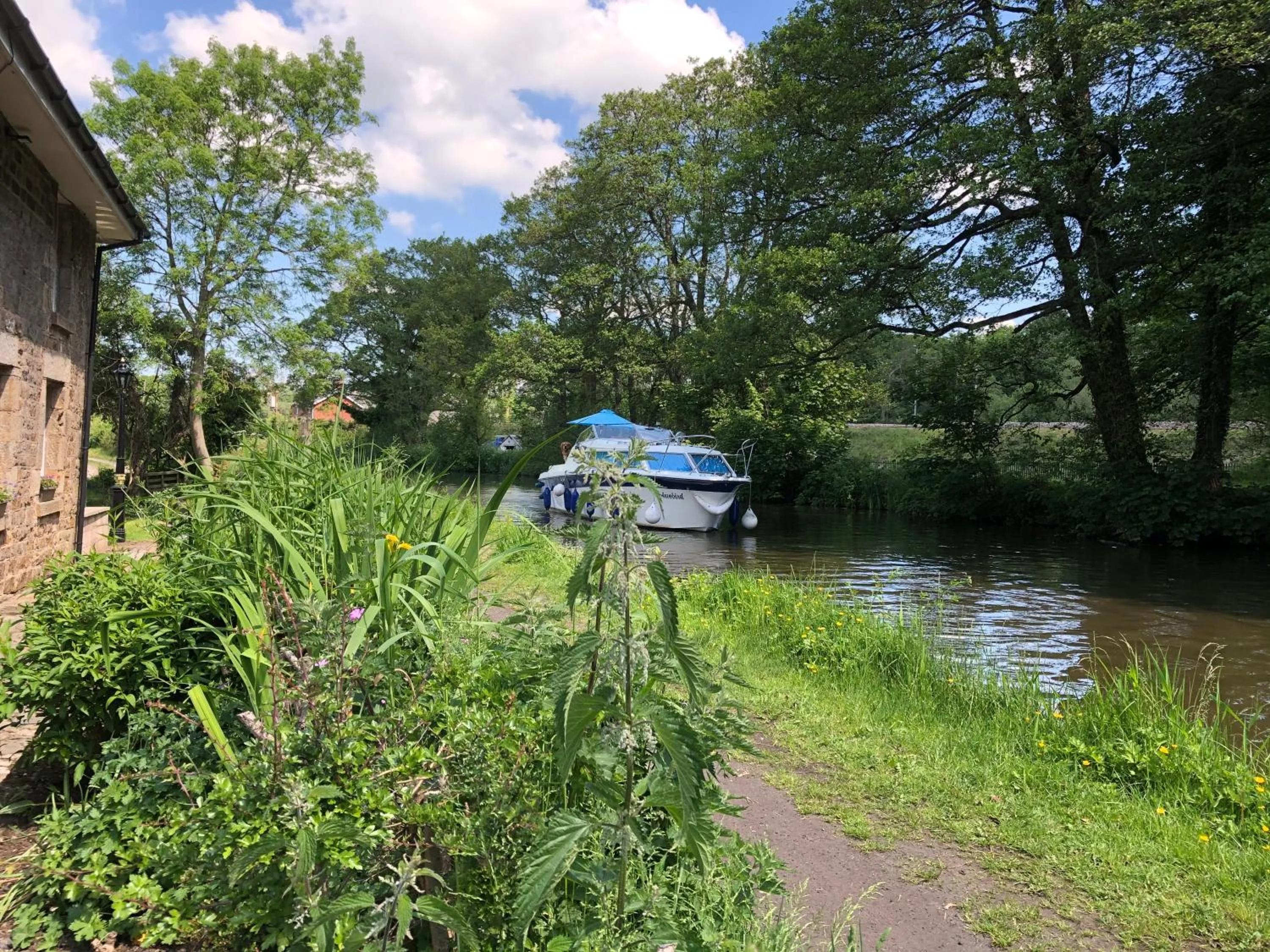 Activities in Picket Post House Bed & Breakfast