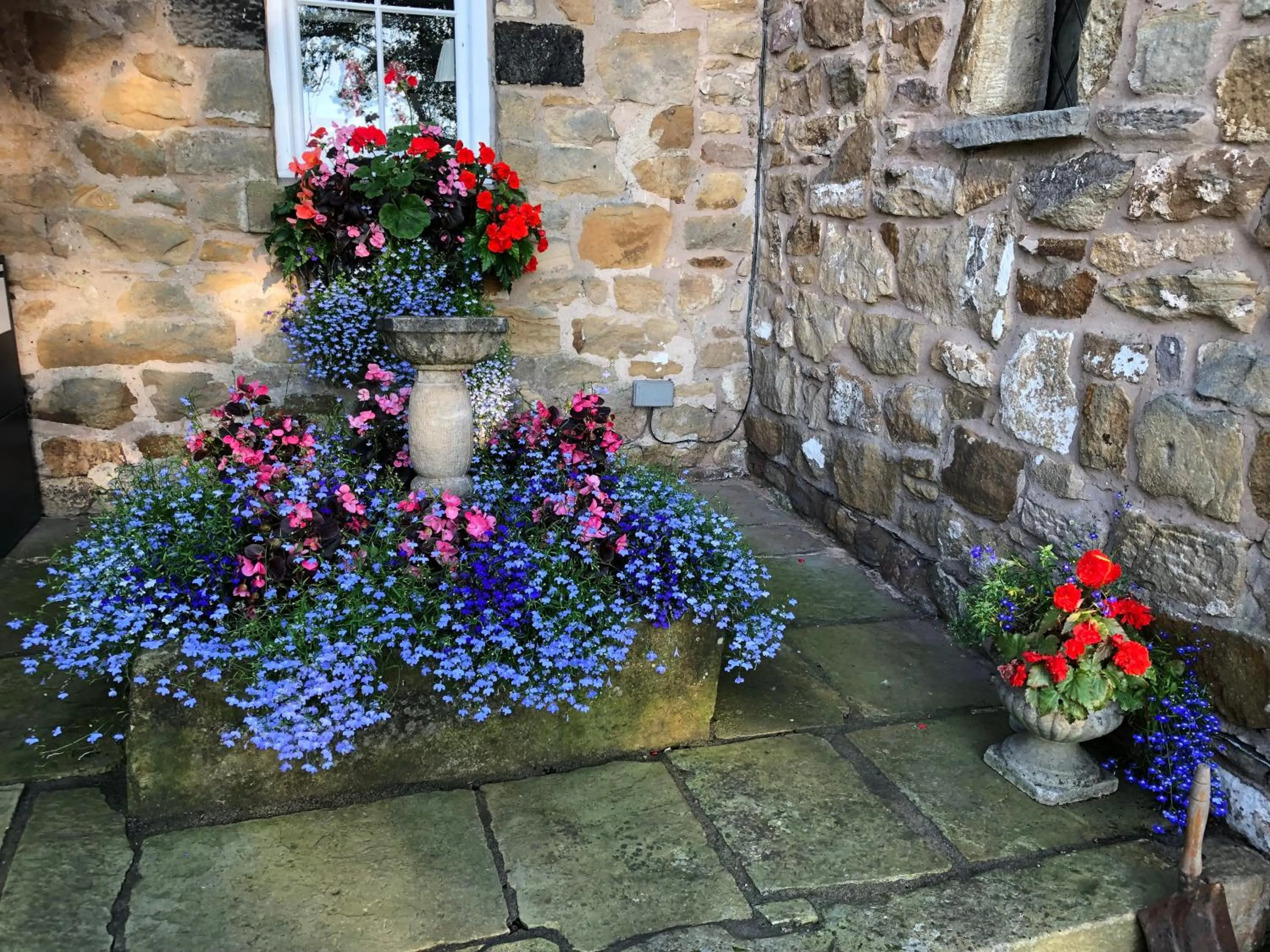 Garden in Picket Post House Bed & Breakfast