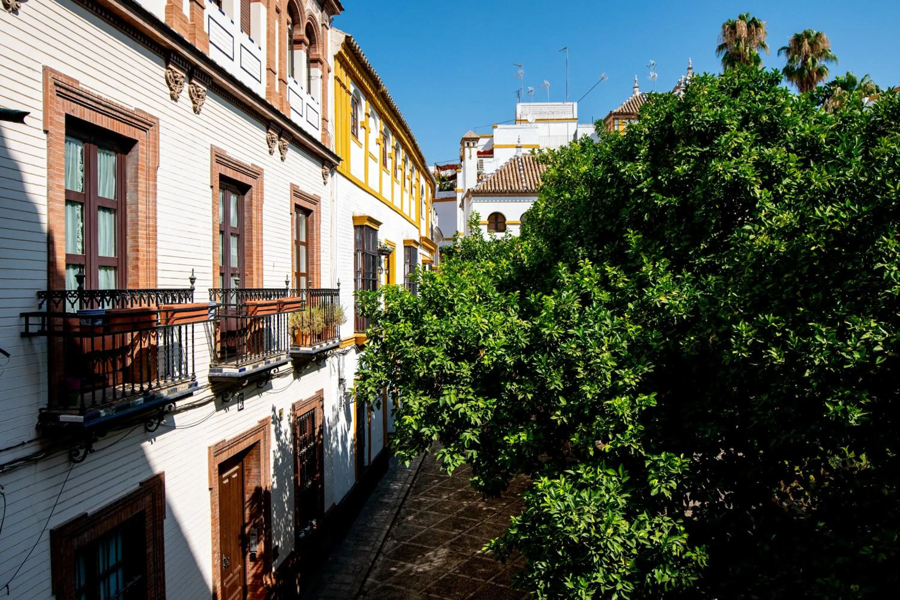 Doña Elvira Suites Cathedral