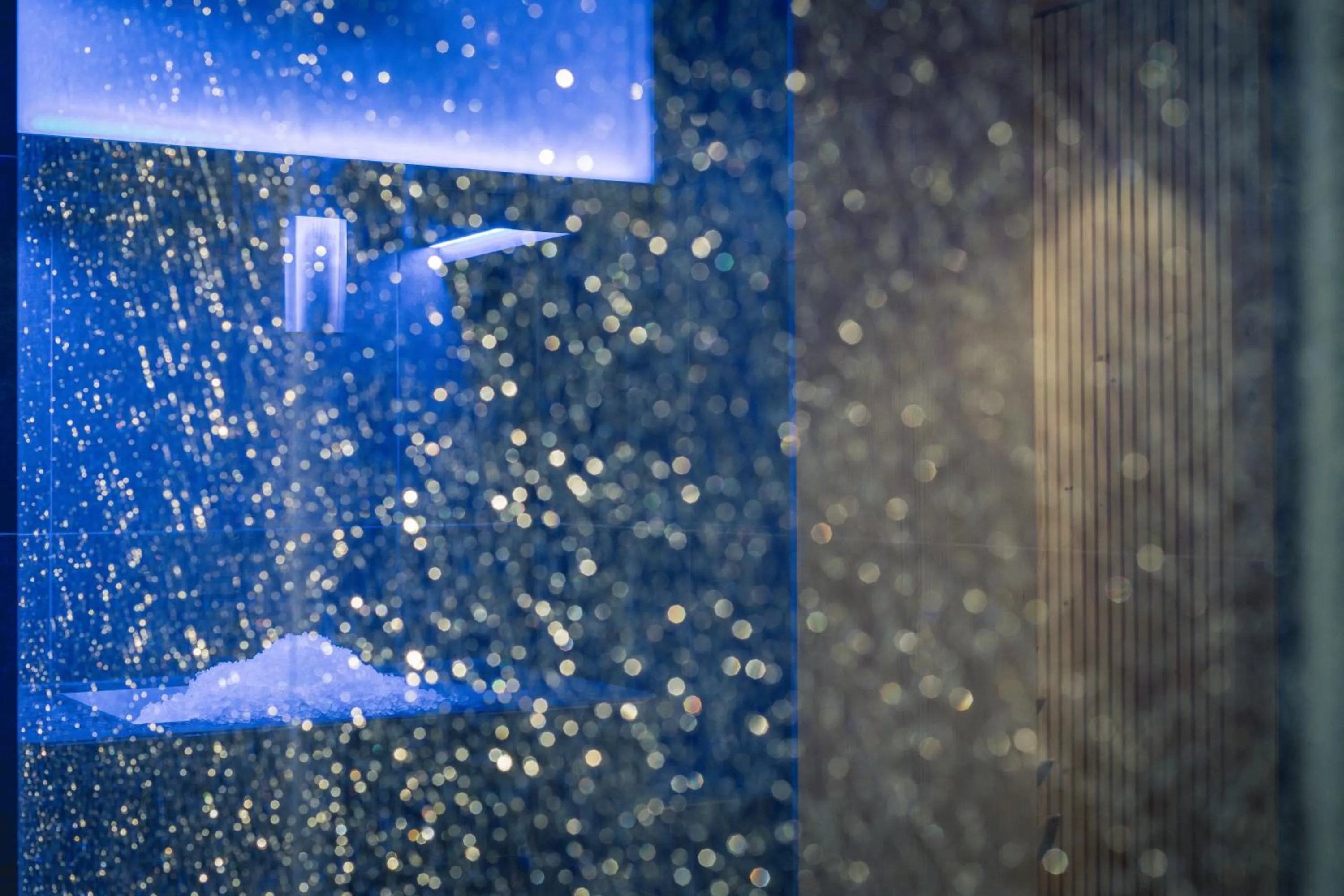 Shower in Torghele's Wald & Fluh