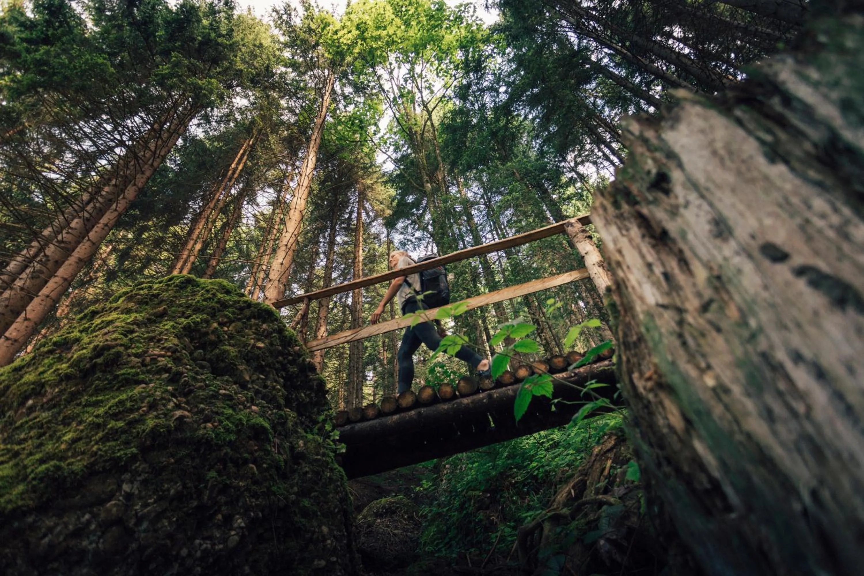 Property building in Torghele's Wald & Fluh