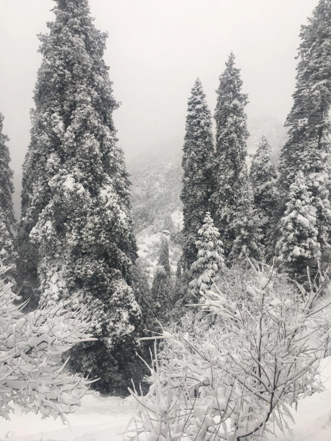 Natural landscape in LA Riqueza Kanatal - Mountain View Rooms - Best Location - Amazing Food - Close to Jungle Safari & Adventure Activities