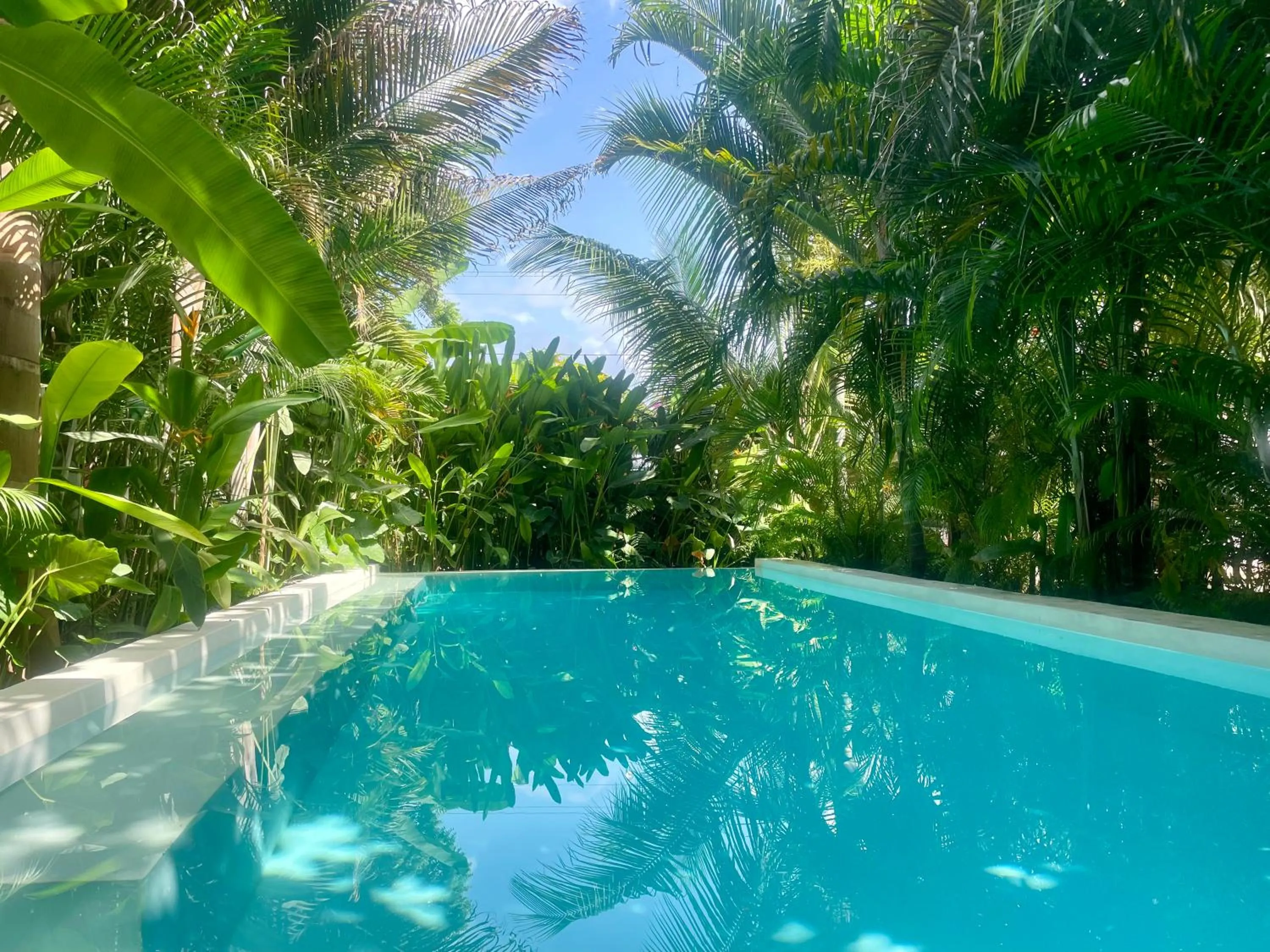 Garden view in Gaia Villas