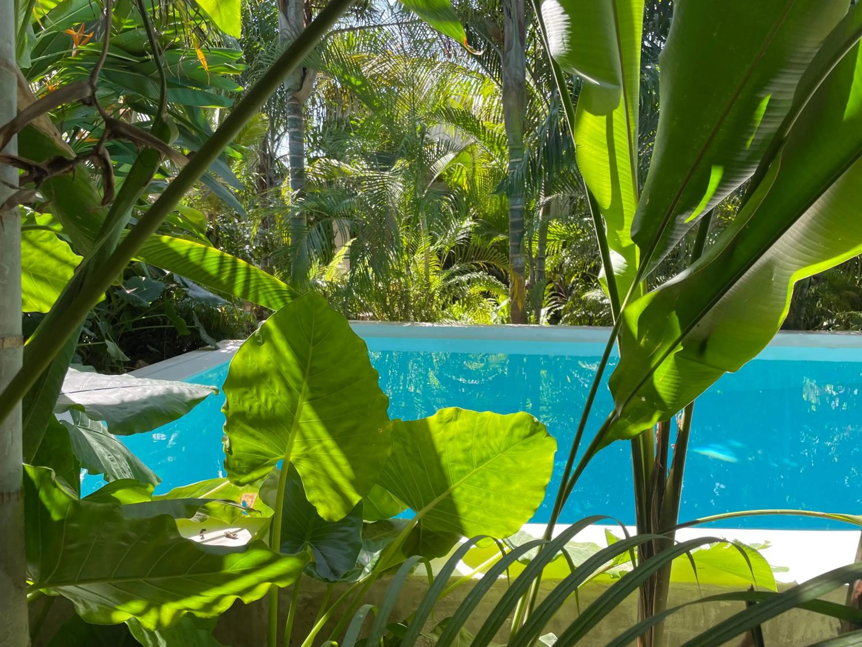 Garden in Gaia Villas