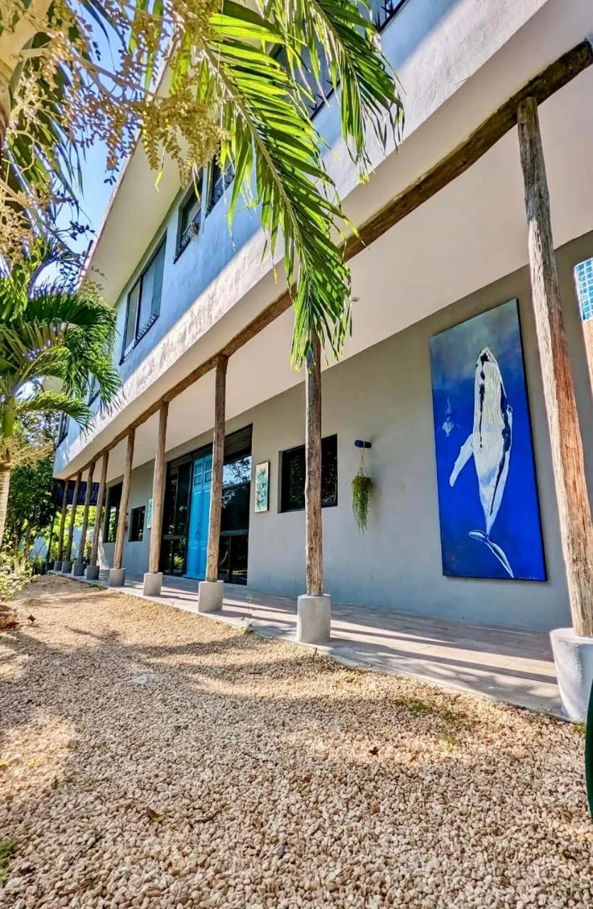 Property building in The Blue Eco Lodge