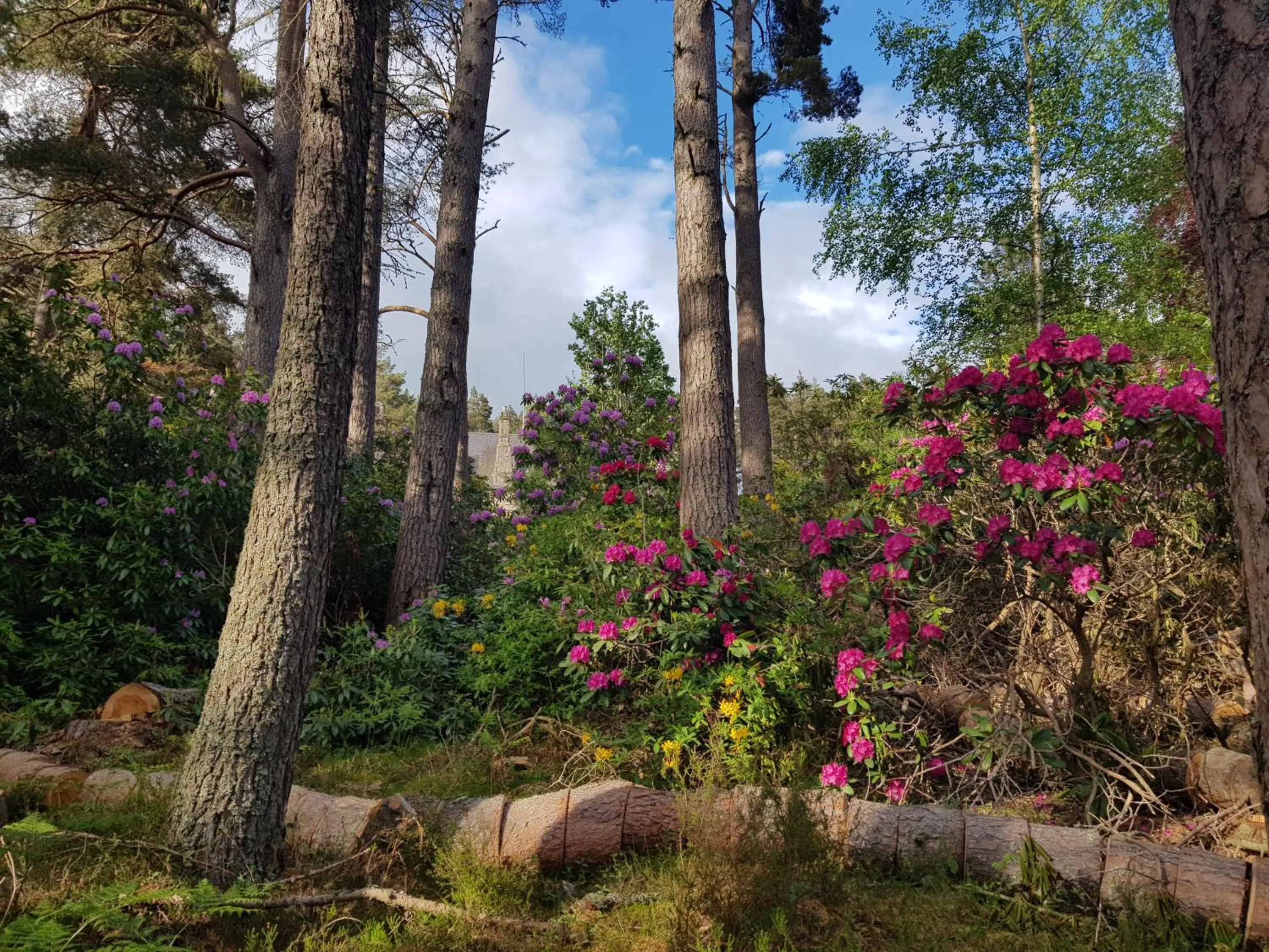 Garden in Cambus O' May Traditional Highland Hotel