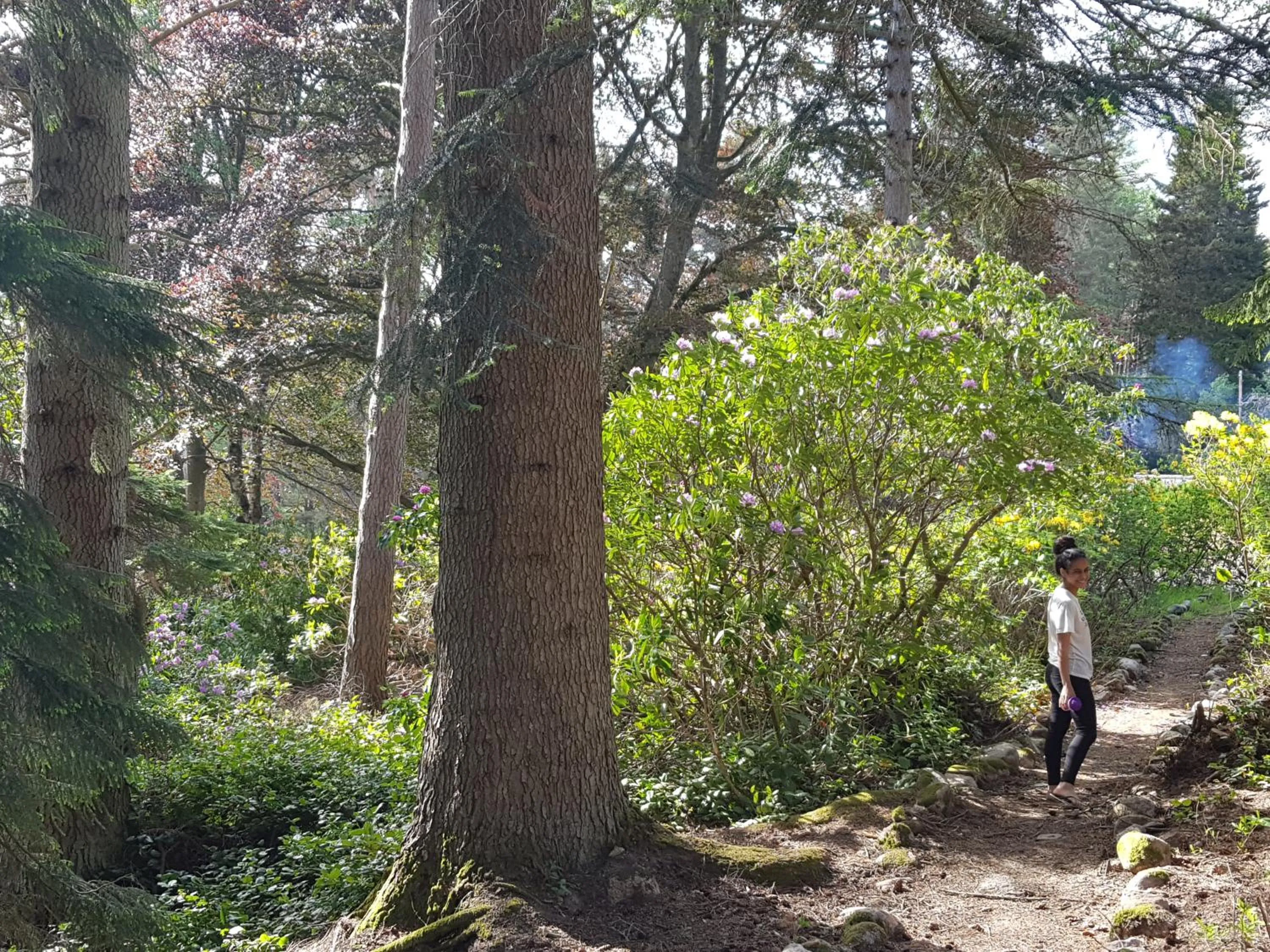 Natural landscape in Cambus O' May Traditional Highland Hotel