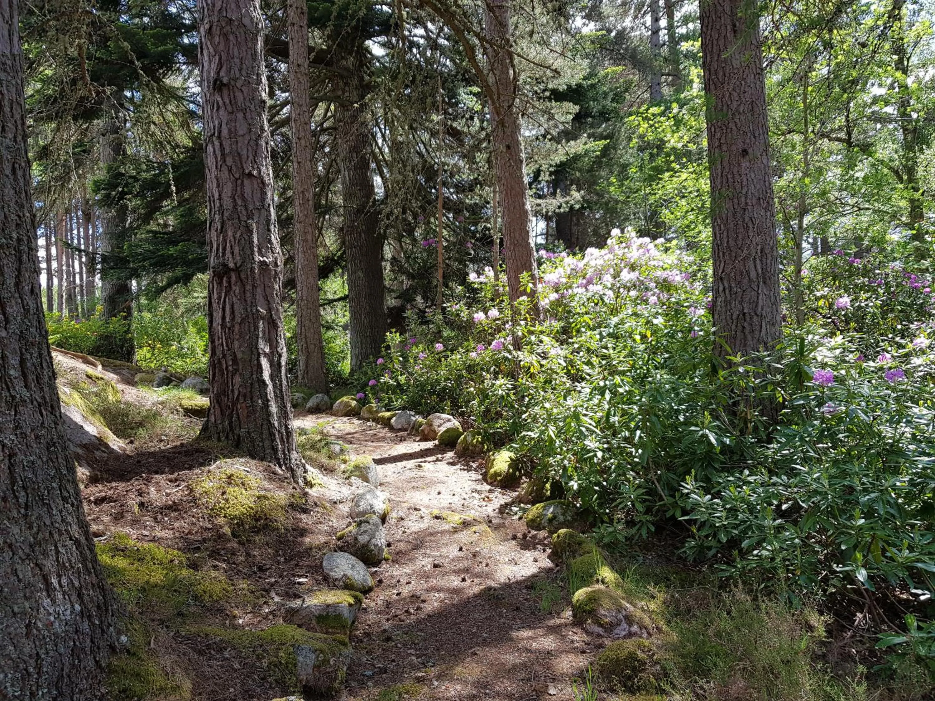 Natural landscape in Cambus O' May Traditional Highland Hotel