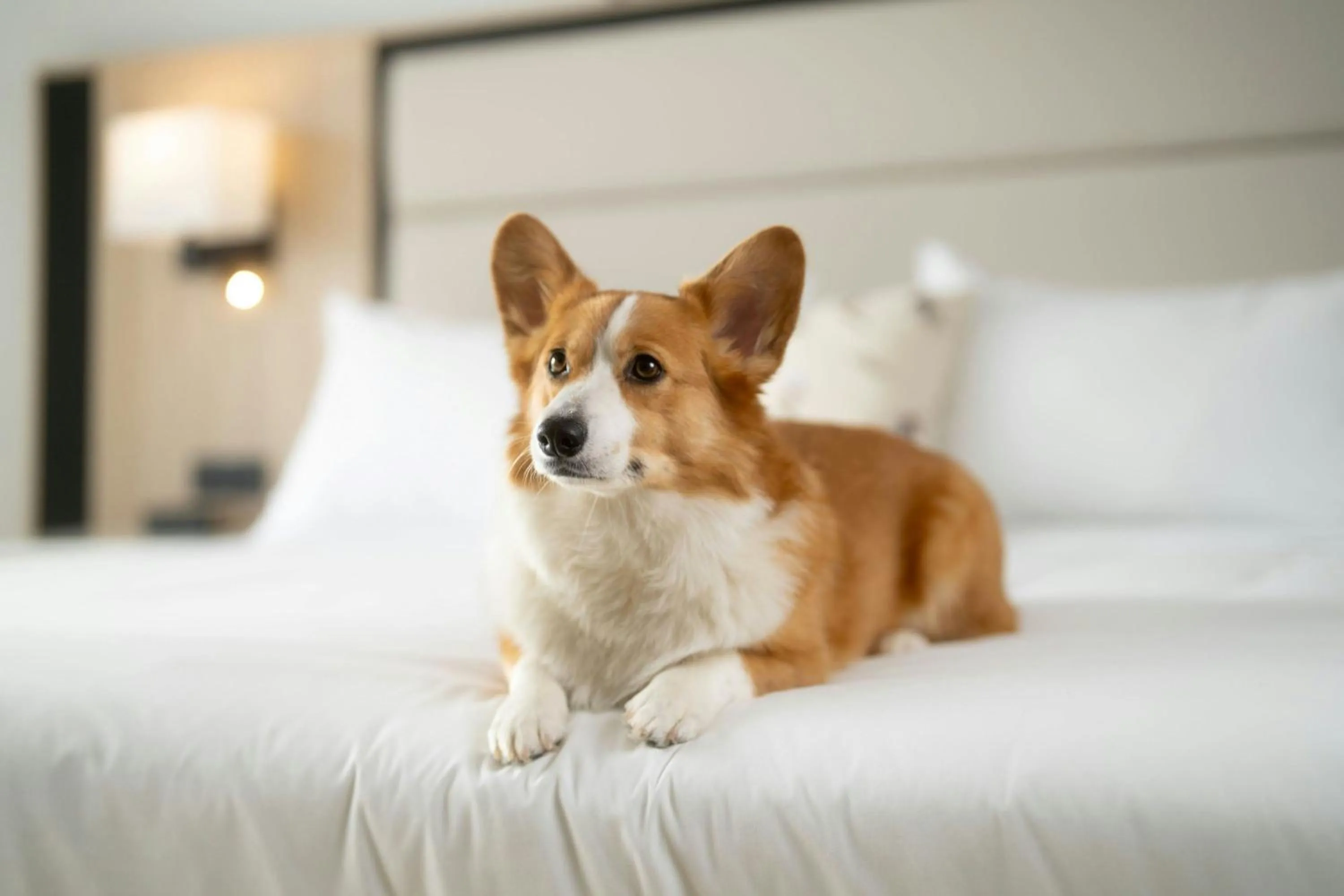 Other in Mont Gabriel, Sainte-Adèle, a Tribute Portfolio Resort