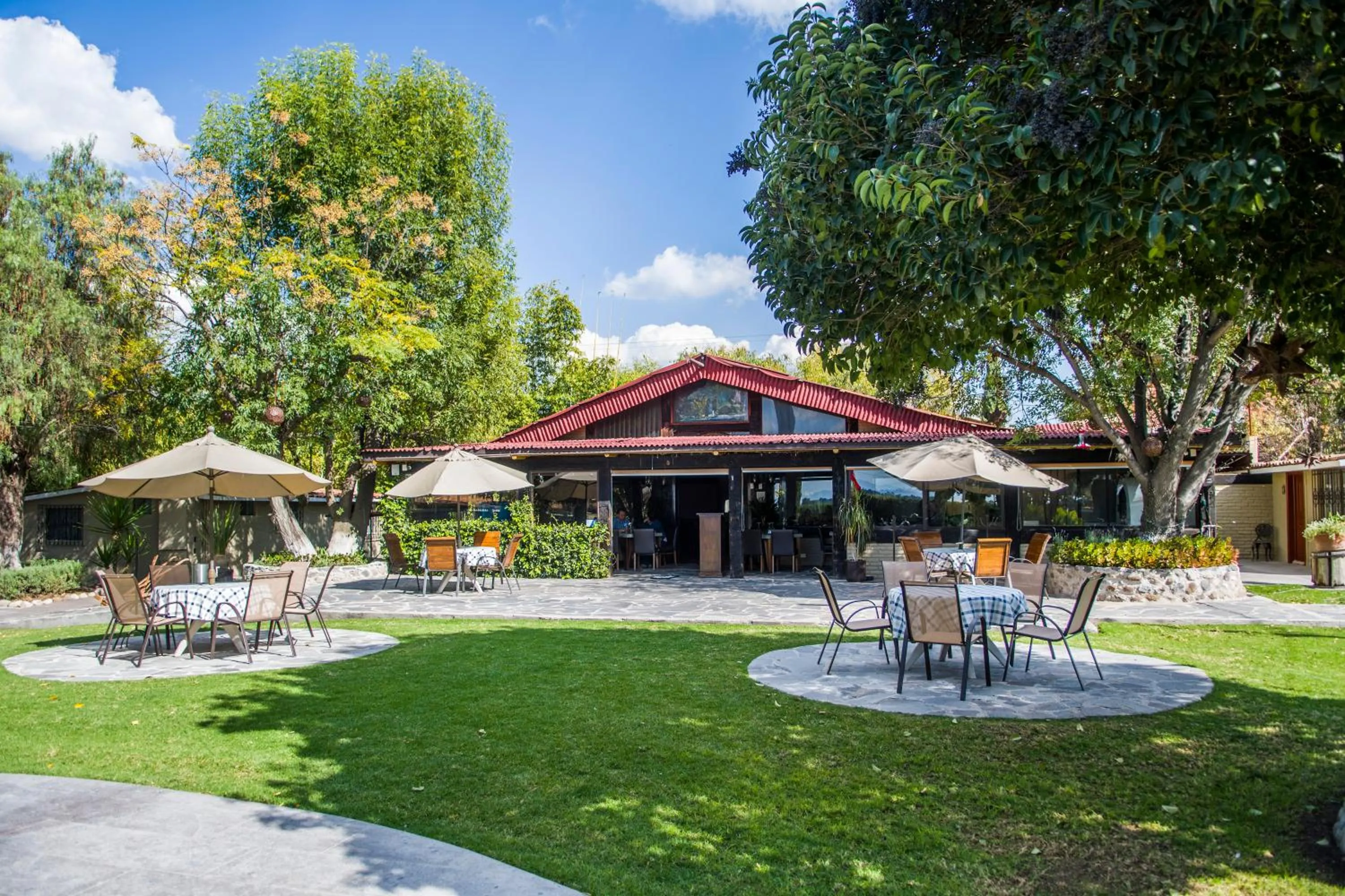 Restaurant/places to eat in Real de Corralejo