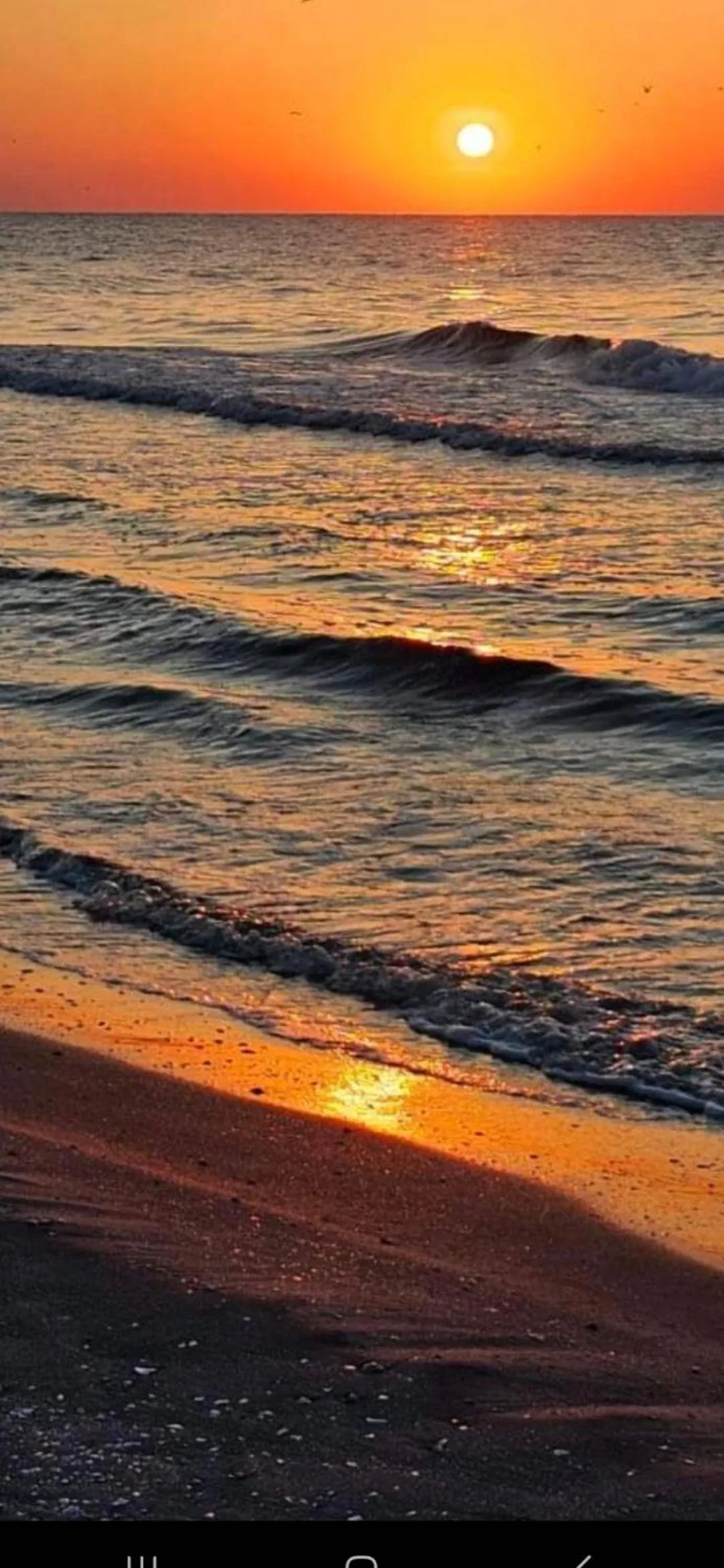 ONIX BLUE BEACH MAMAIA NORD