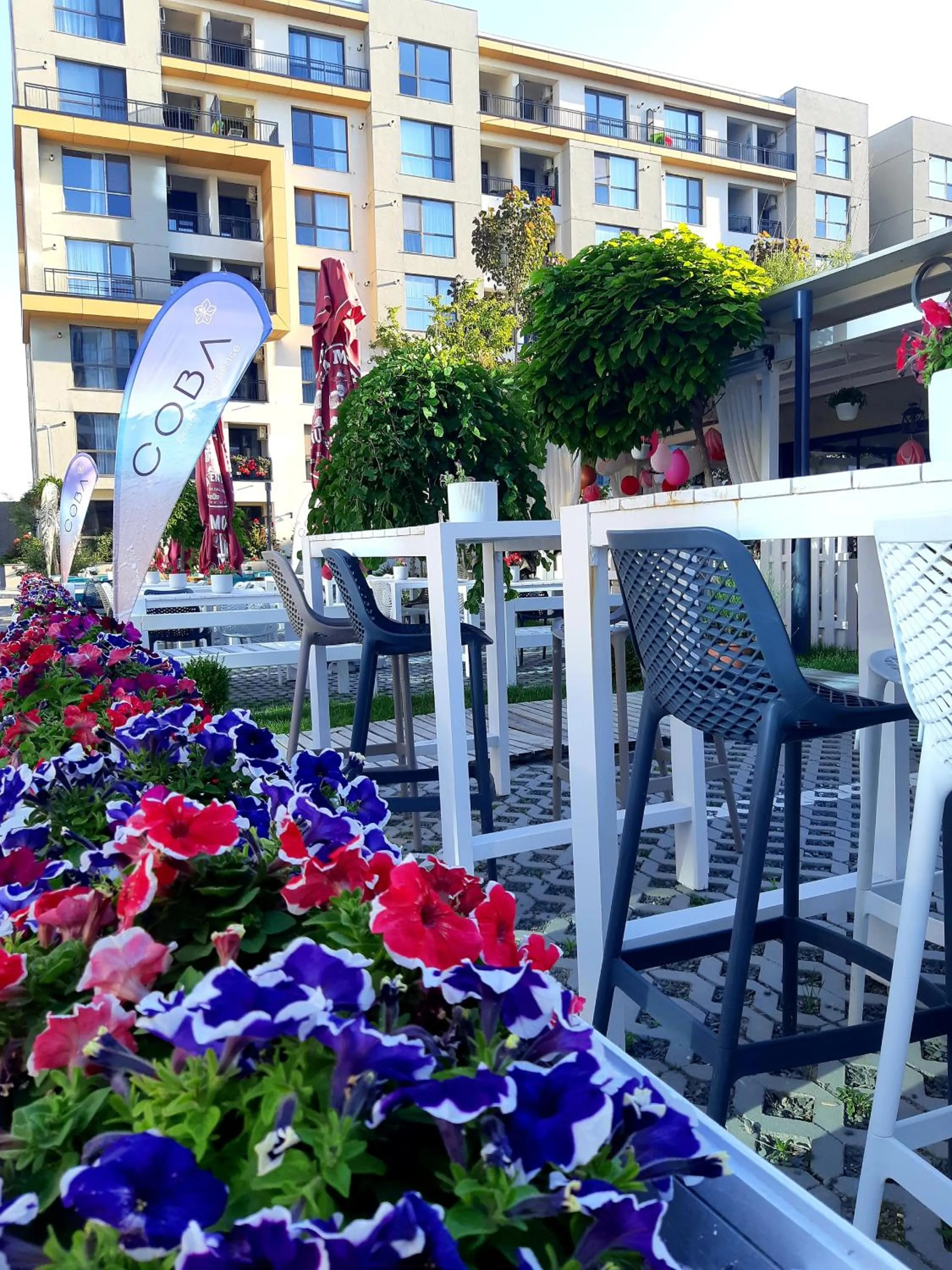 ONIX BLUE BEACH MAMAIA NORD