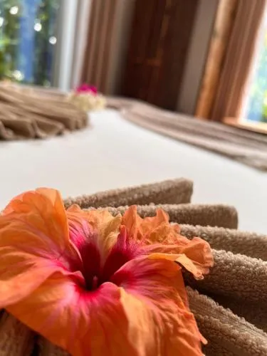 Hi Zanzibar