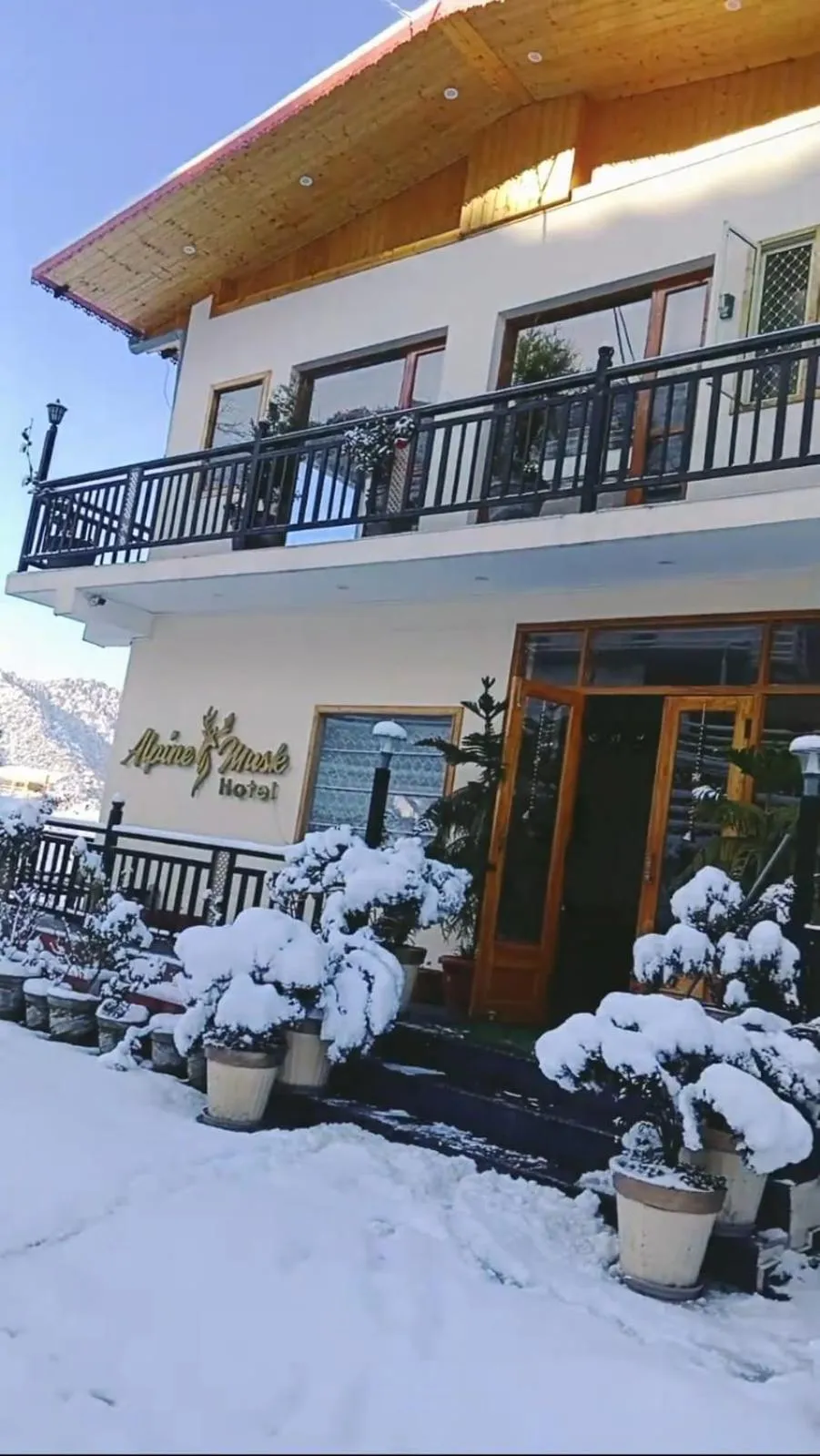 Property building in Hotel Alpine Musk
