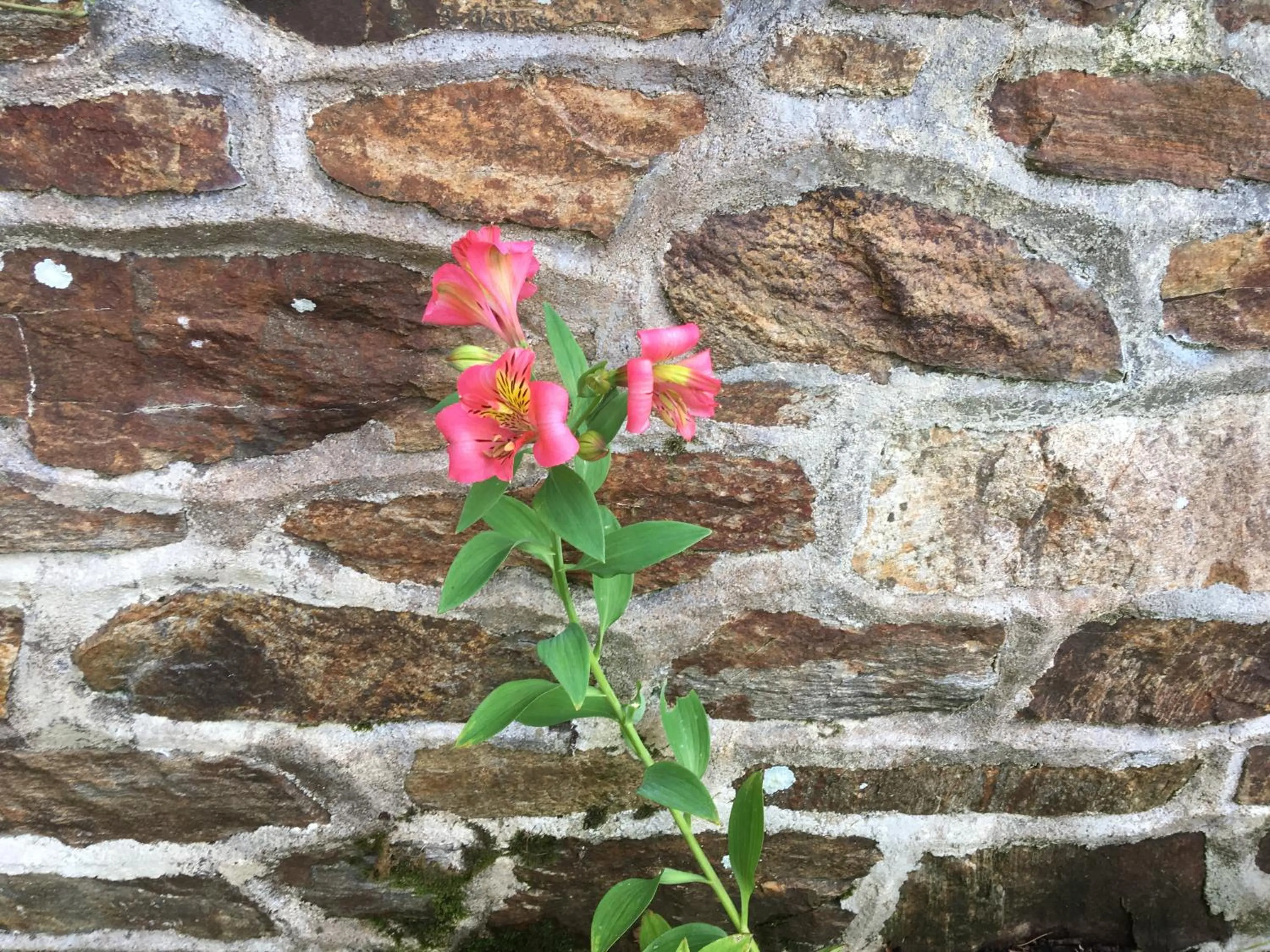 Day in La Houache Chambres d'Hôtes