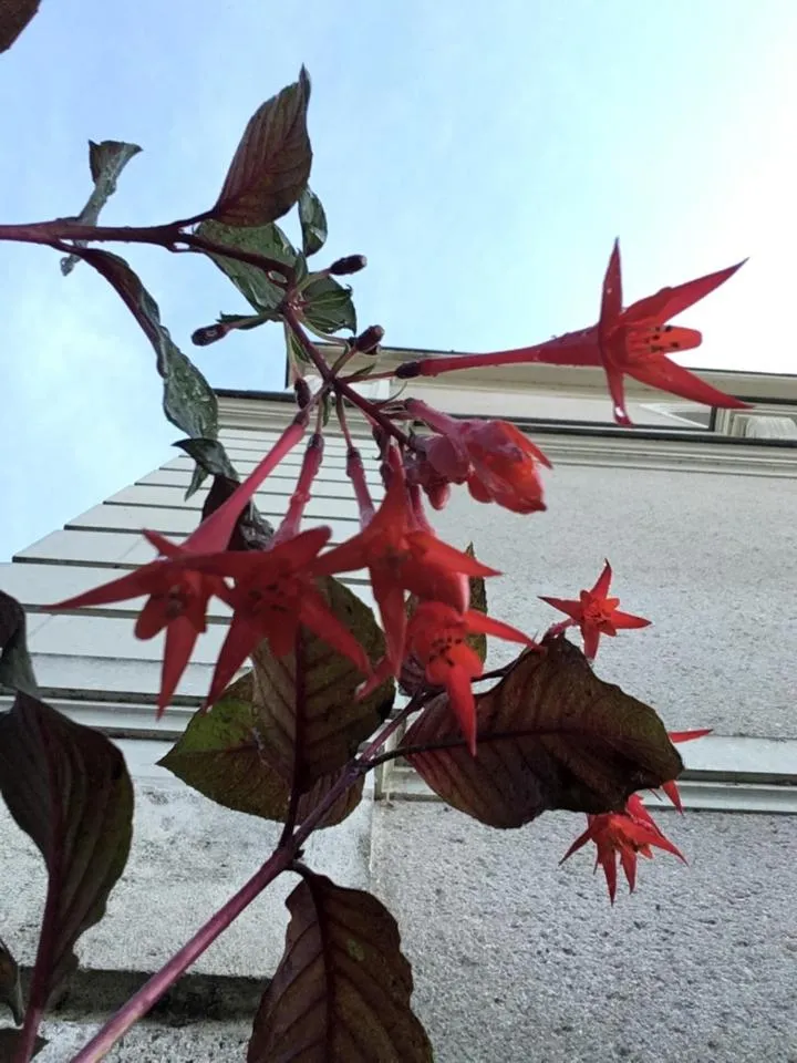 Day in La Houache Chambres d'Hôtes