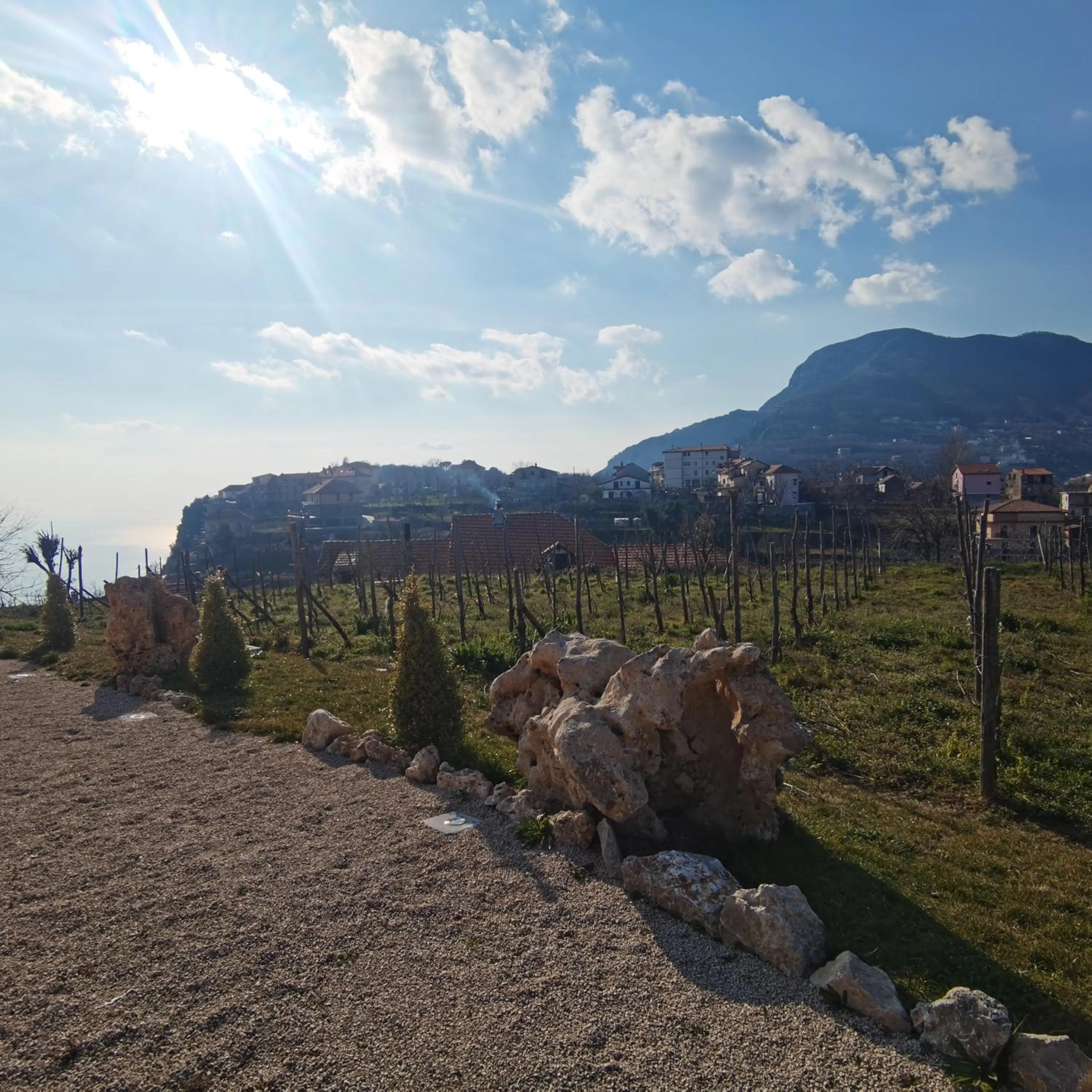 Natural landscape in Antichi Orti del Sole