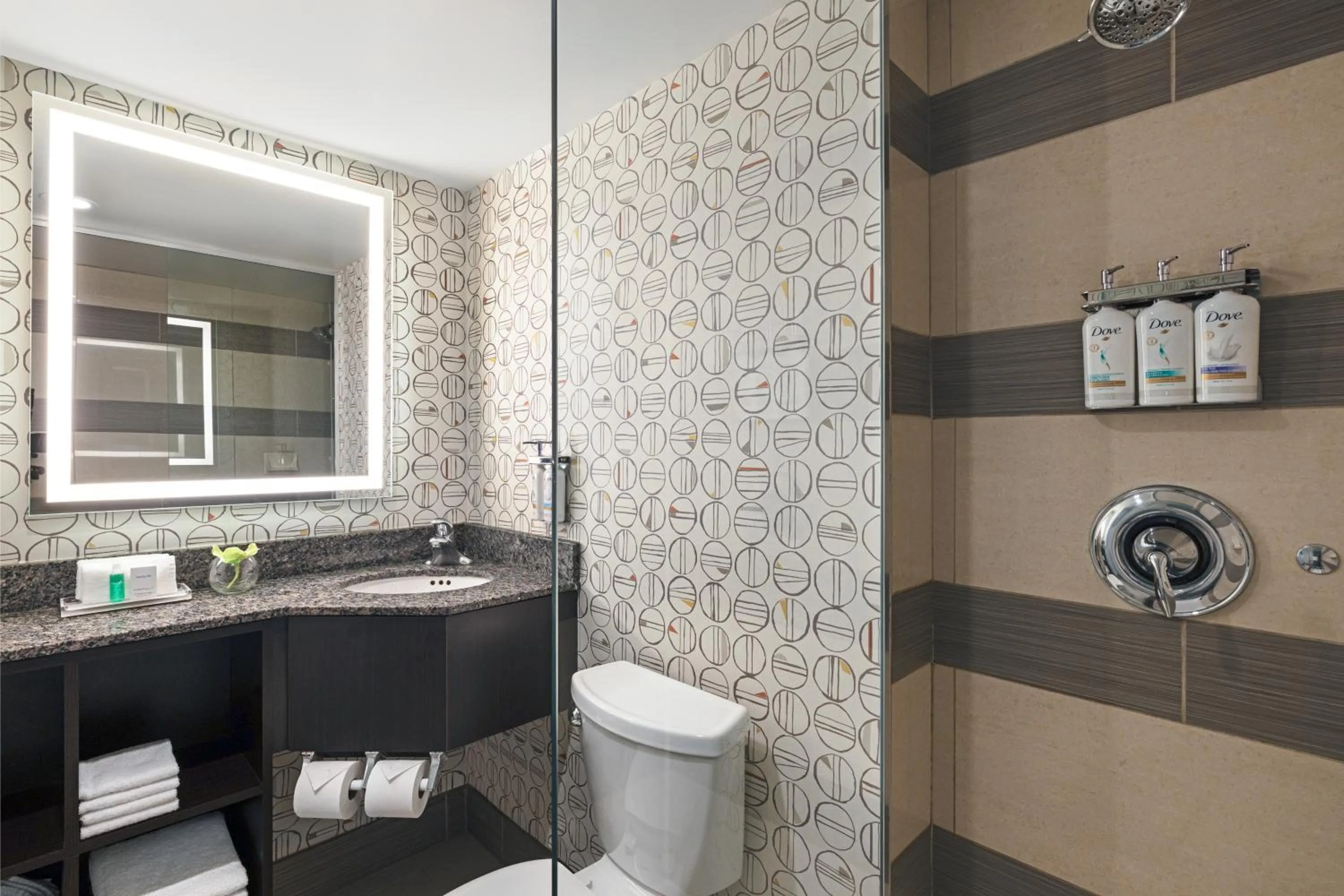 Bathroom in Holiday Inn Toronto Downtown Centre by IHG