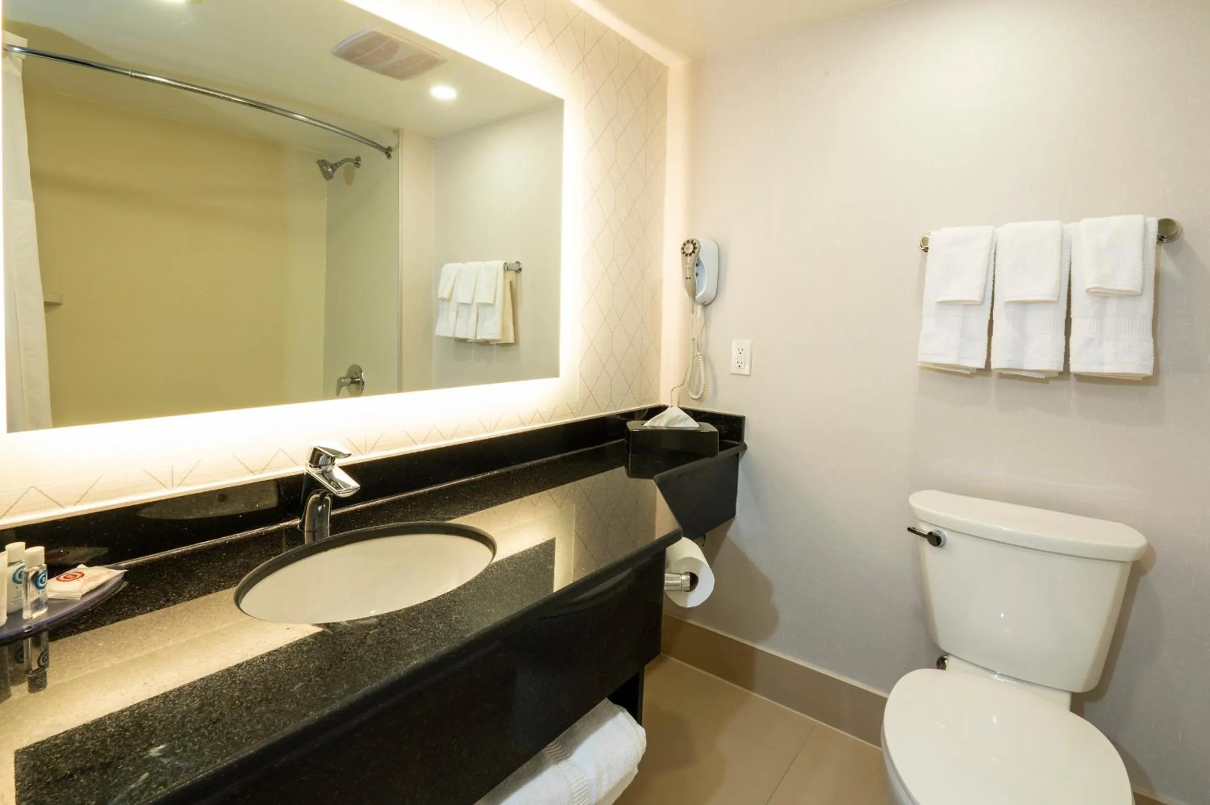 Photo of the whole room in Comfort Inn & Conference Centre Toronto Airport