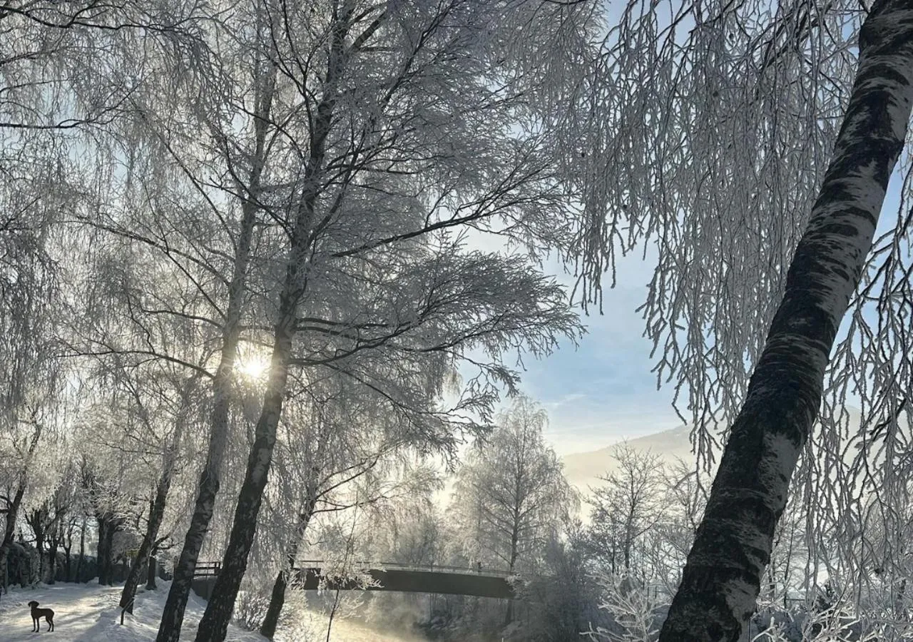 Skiing in Hotel Bad Hofgastein - The STORKS - Adults Only