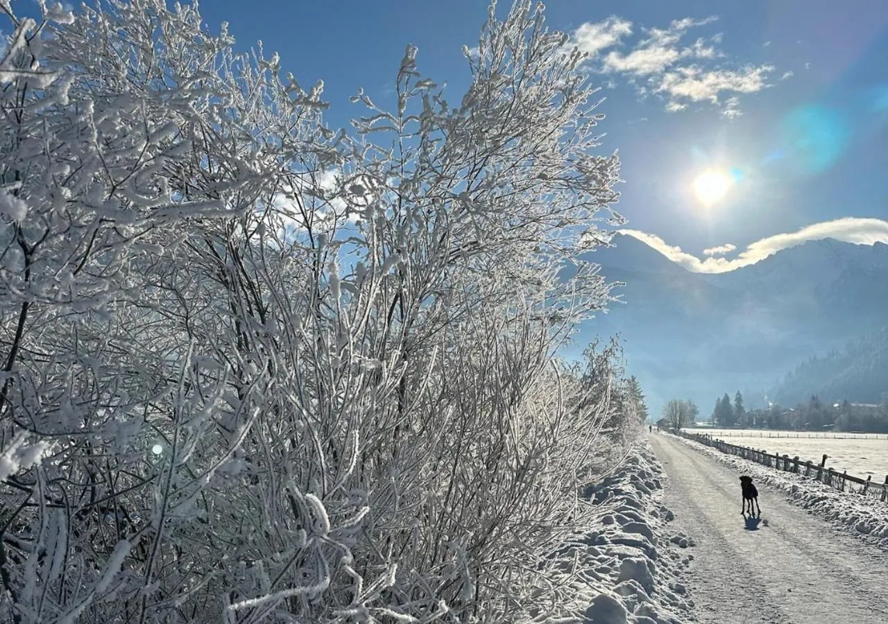 Area and facilities in Hotel Bad Hofgastein - The STORKS - Adults Only