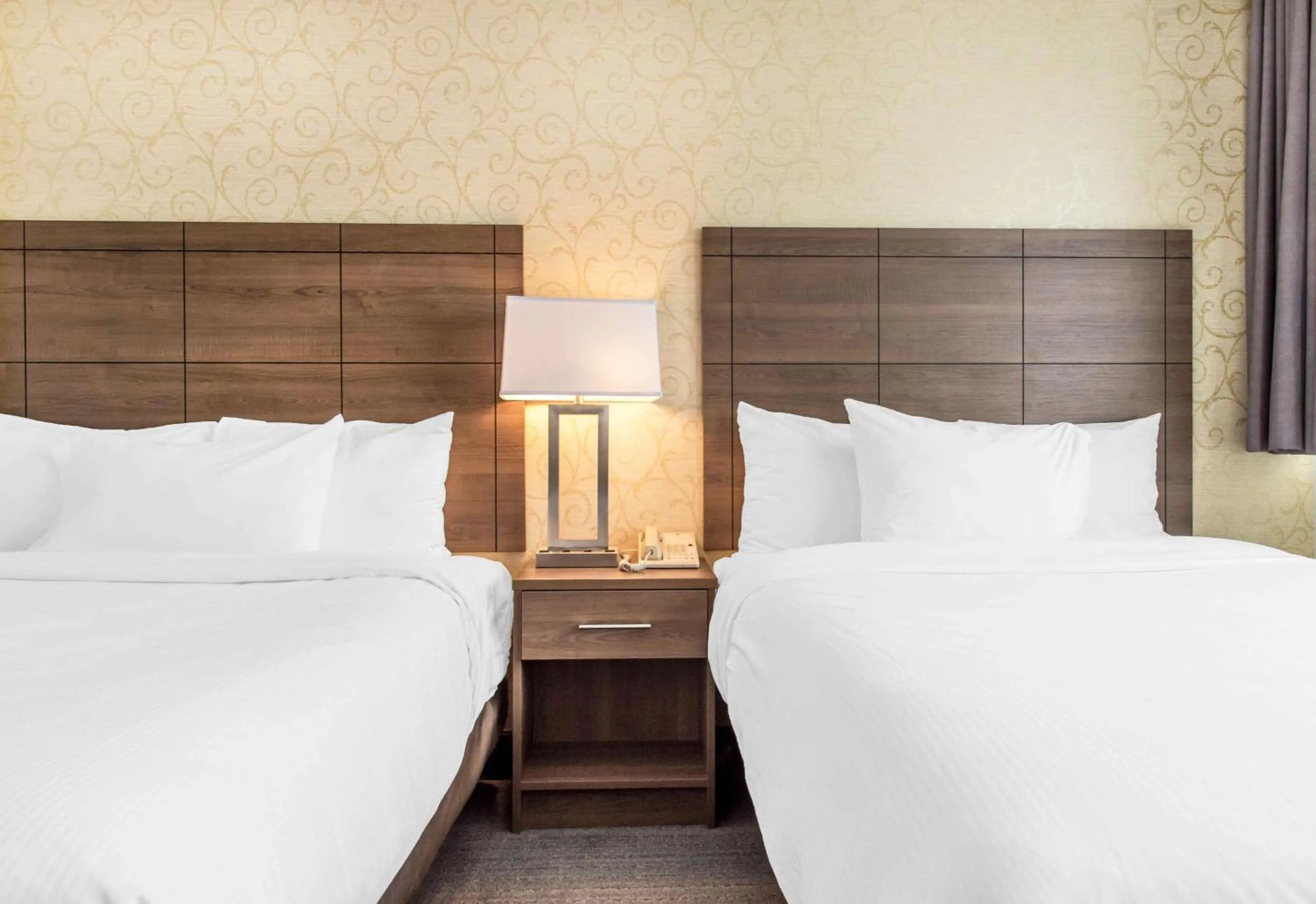 Bedroom, Bed in Quality Hotel Dorval Aeroport