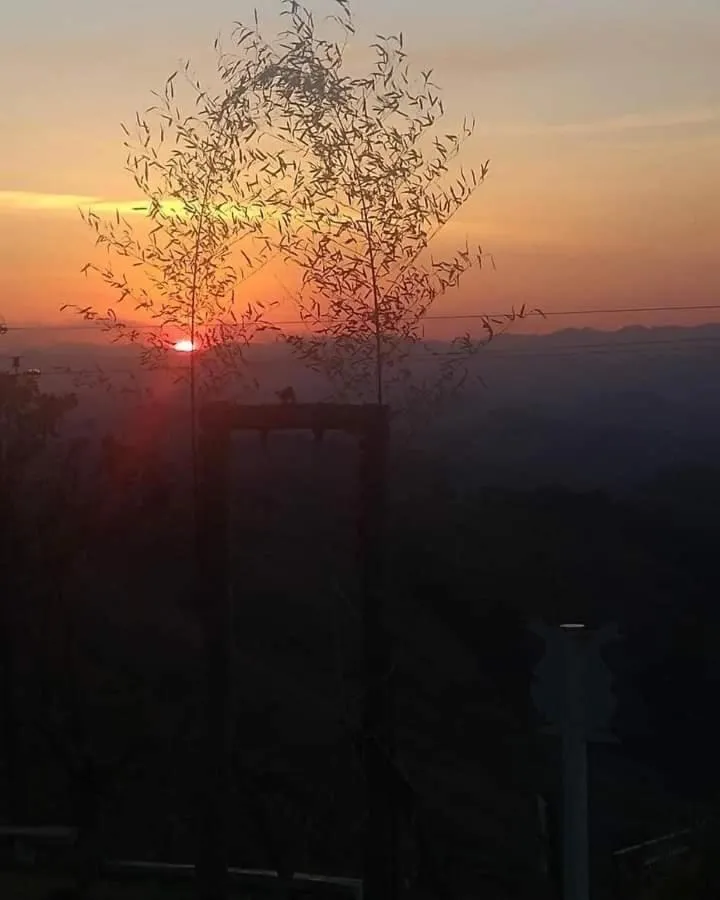 Pousada Oca Porã