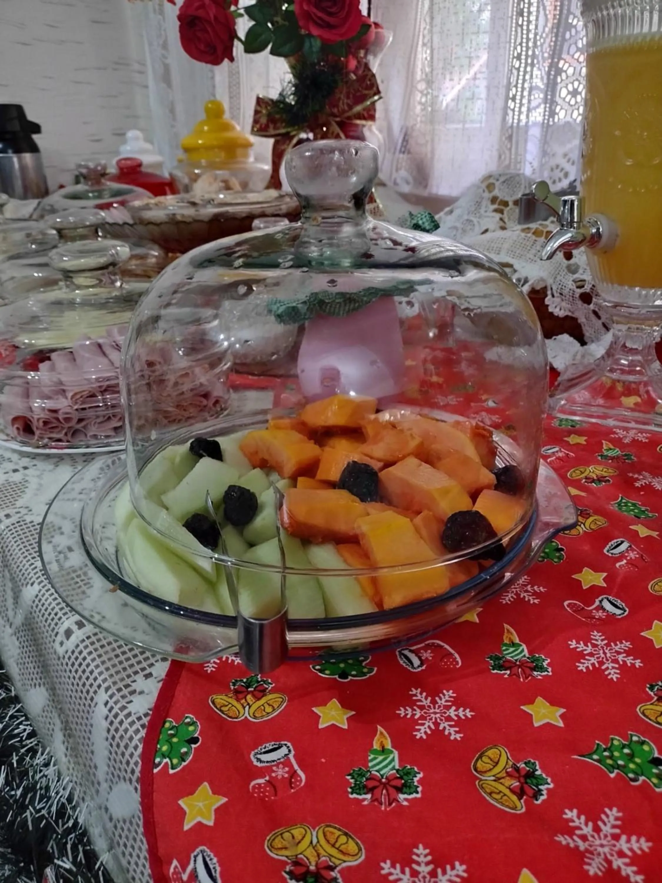 Pousada Oca Porã