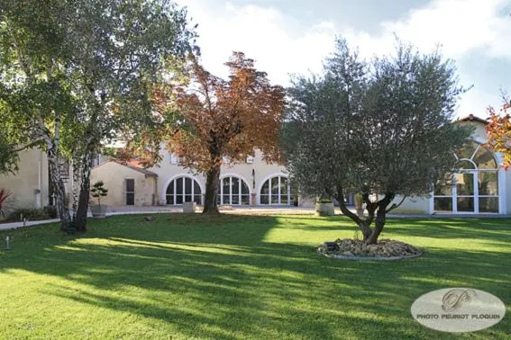 Garden in Le Continental