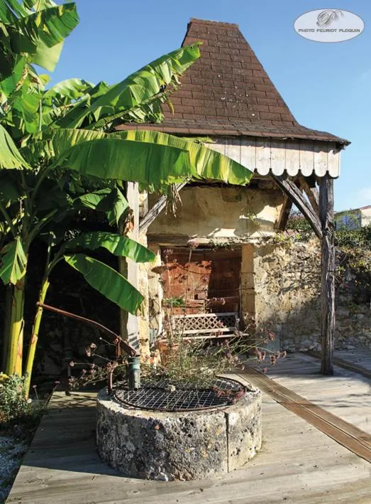 Garden in Le Continental