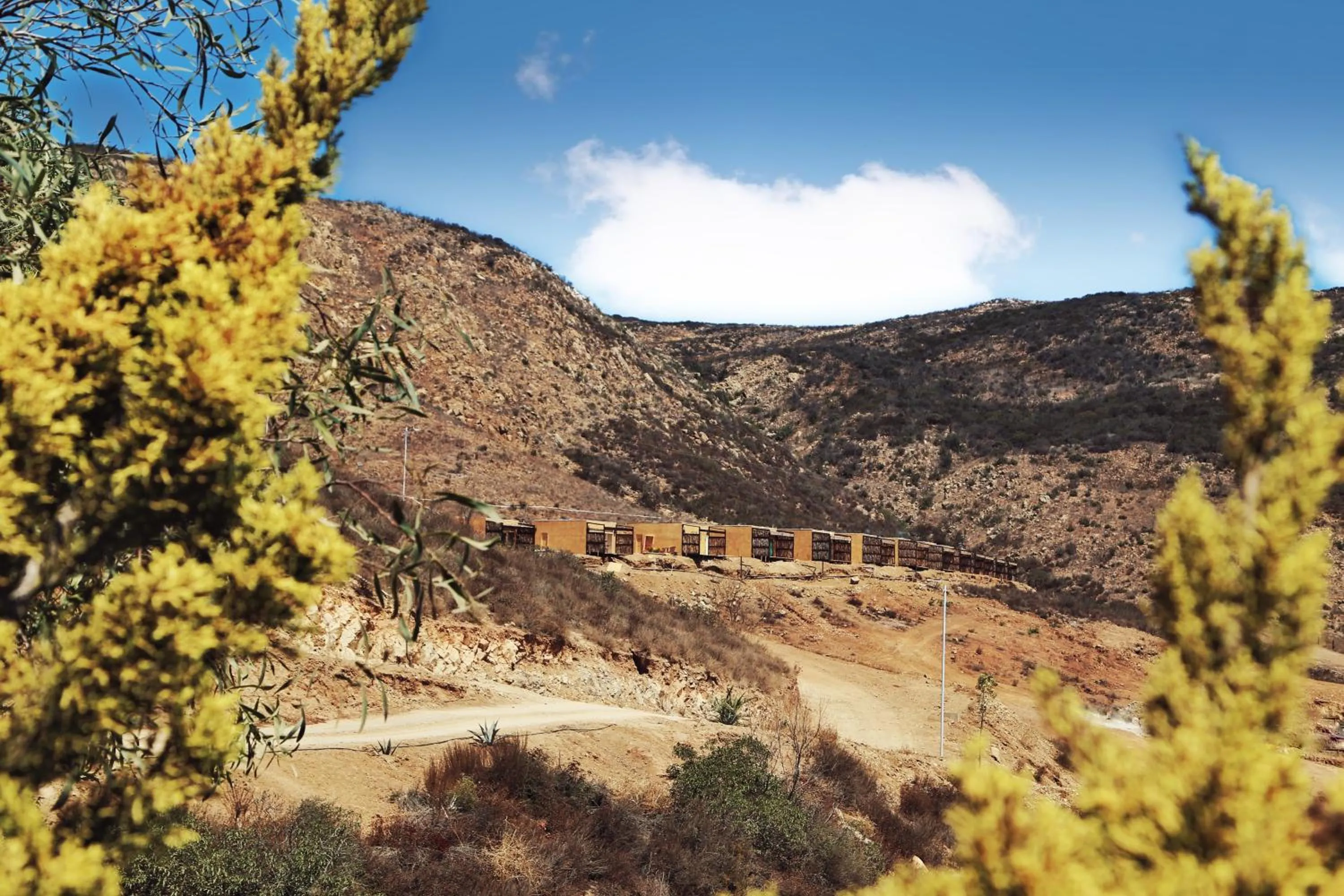 Property building in Maple Resort