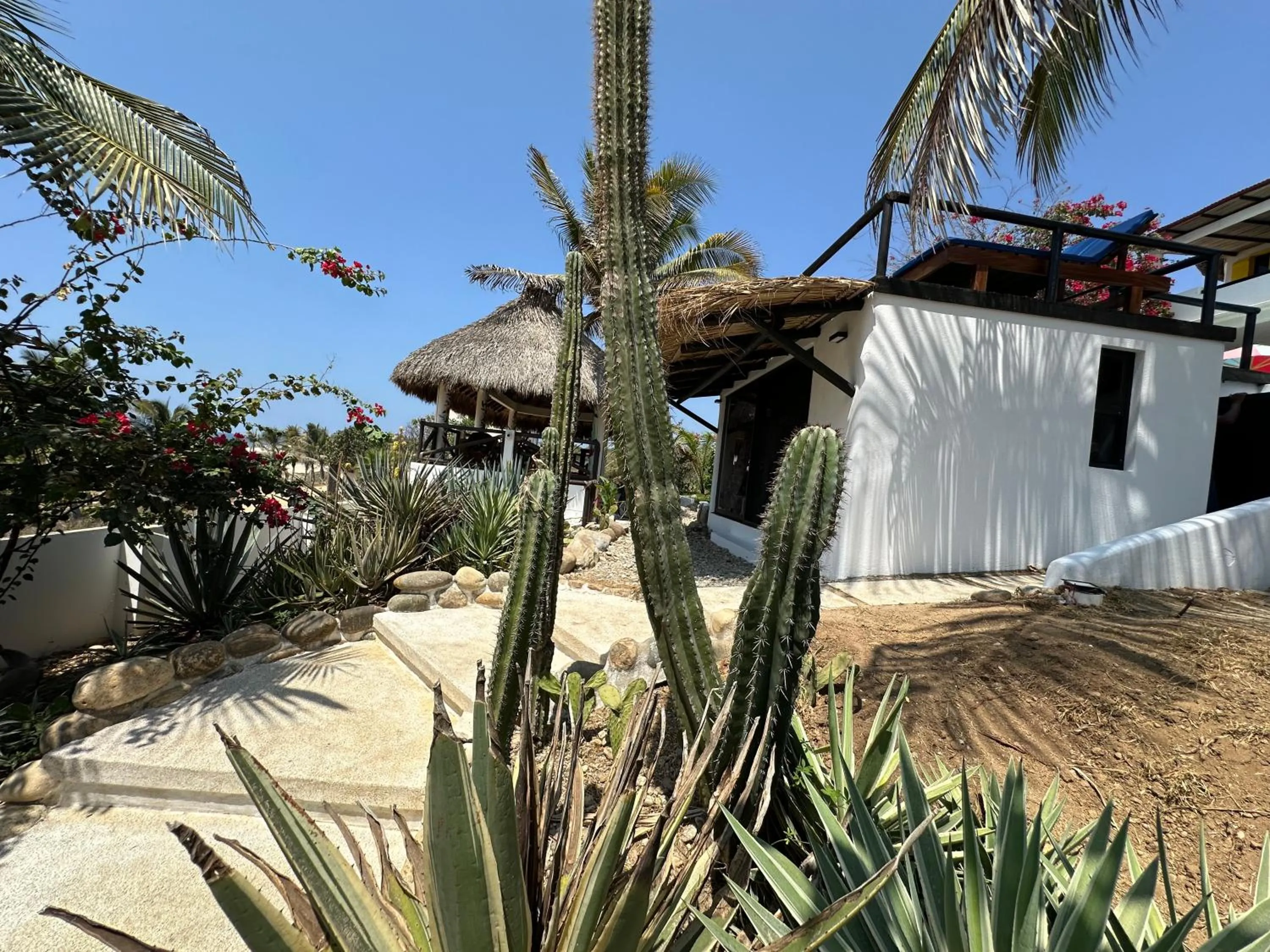 Garden view in Beachfront Paradise Boutique Hotel