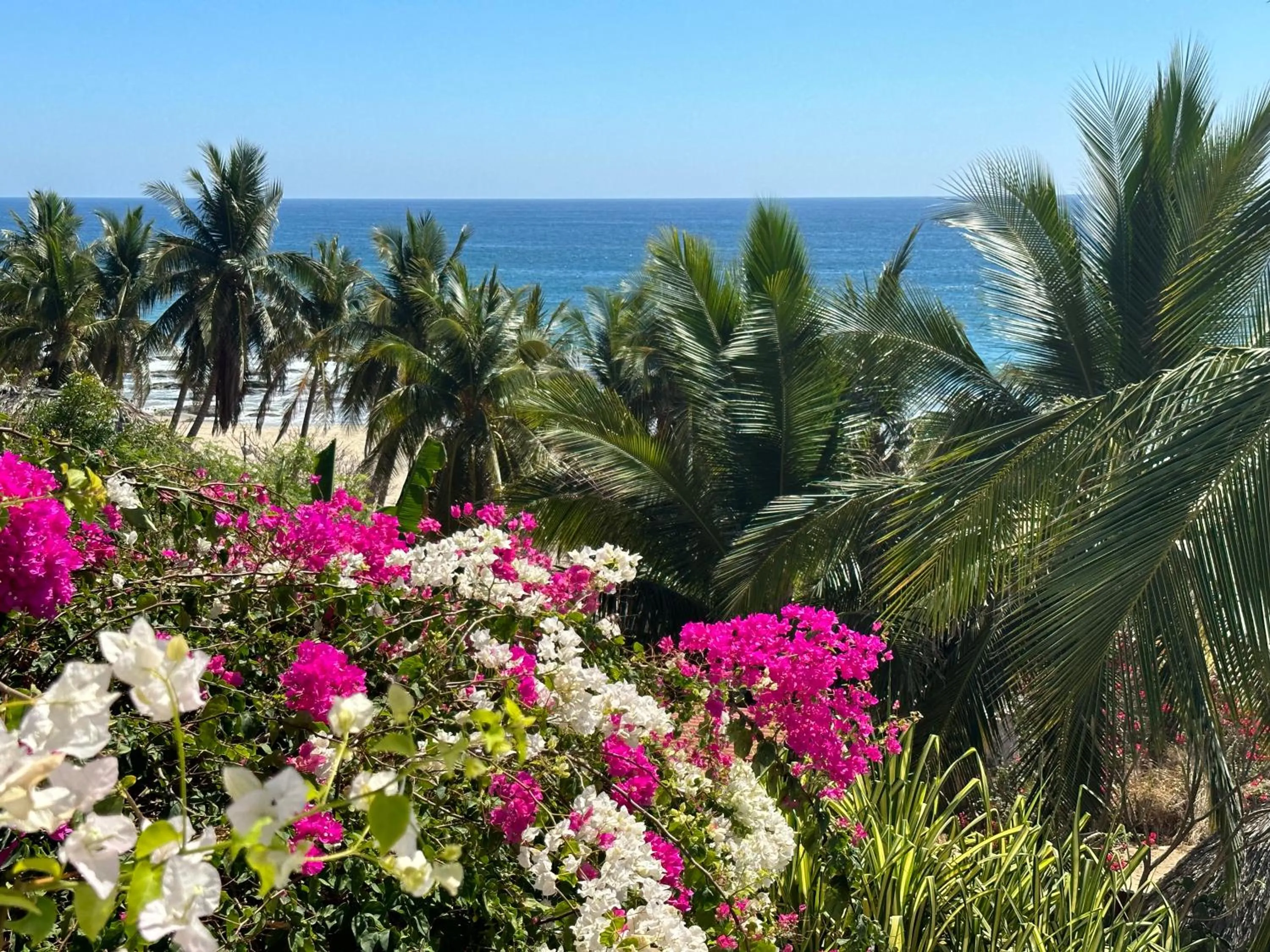 Natural landscape in Beachfront Paradise Boutique Hotel