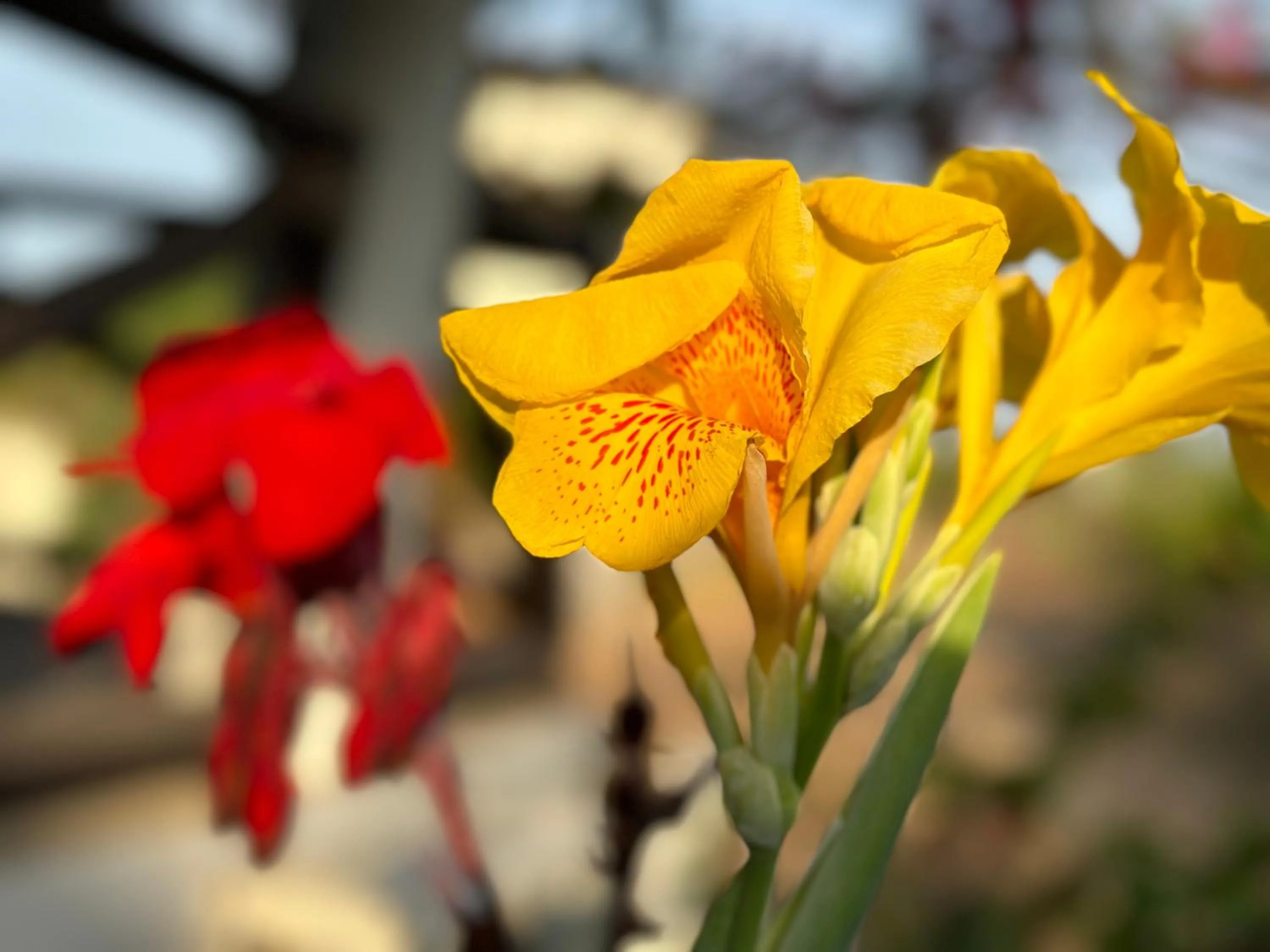 Beachfront Paradise Boutique Hotel