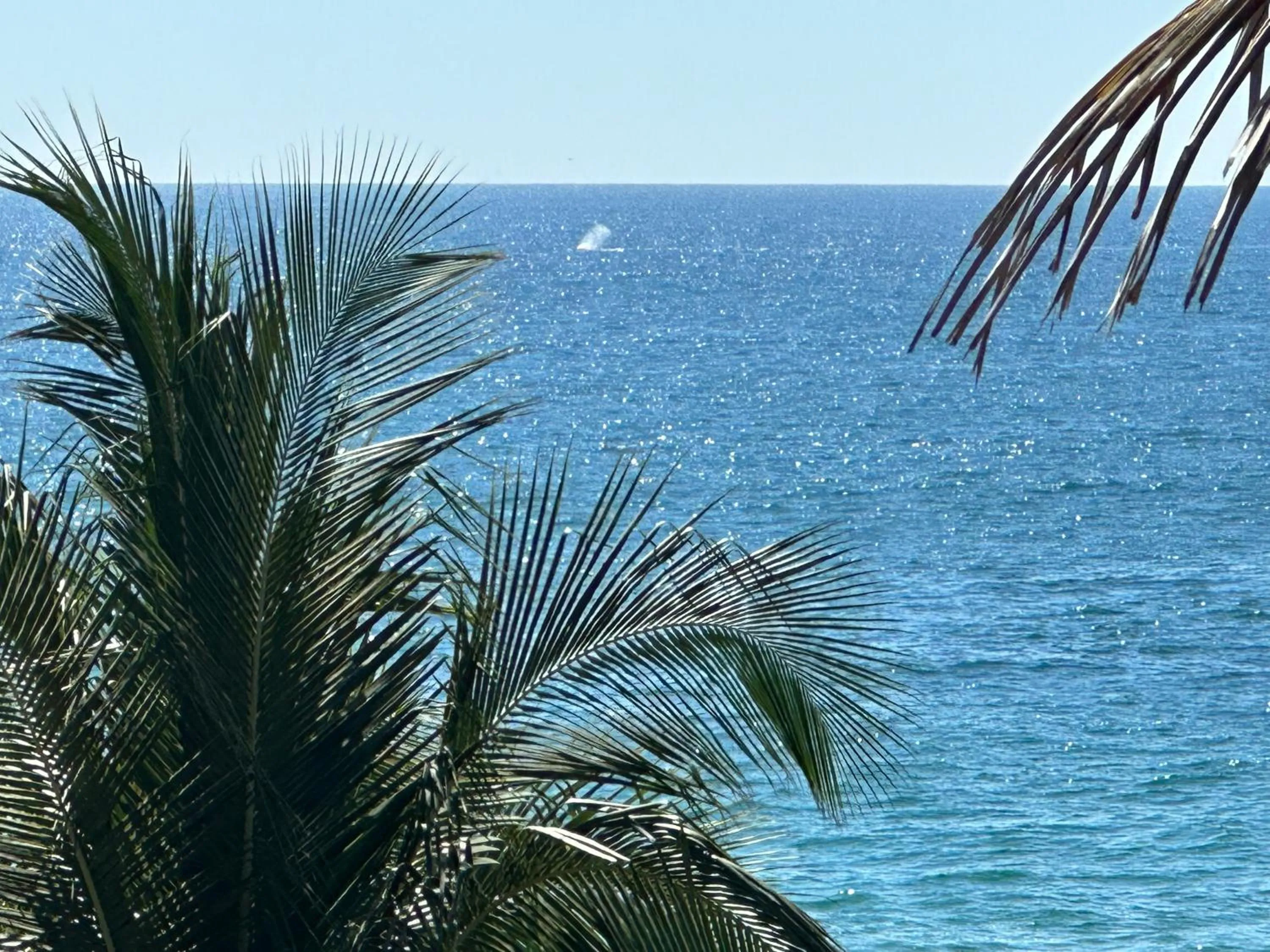Natural landscape in Beachfront Paradise Boutique Hotel
