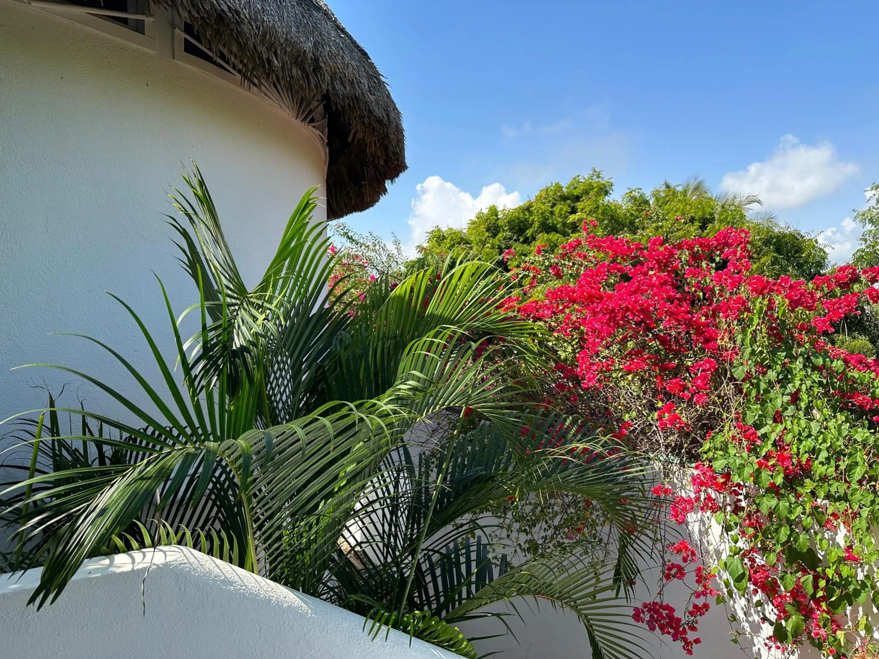 Day in Beachfront Paradise Boutique Hotel