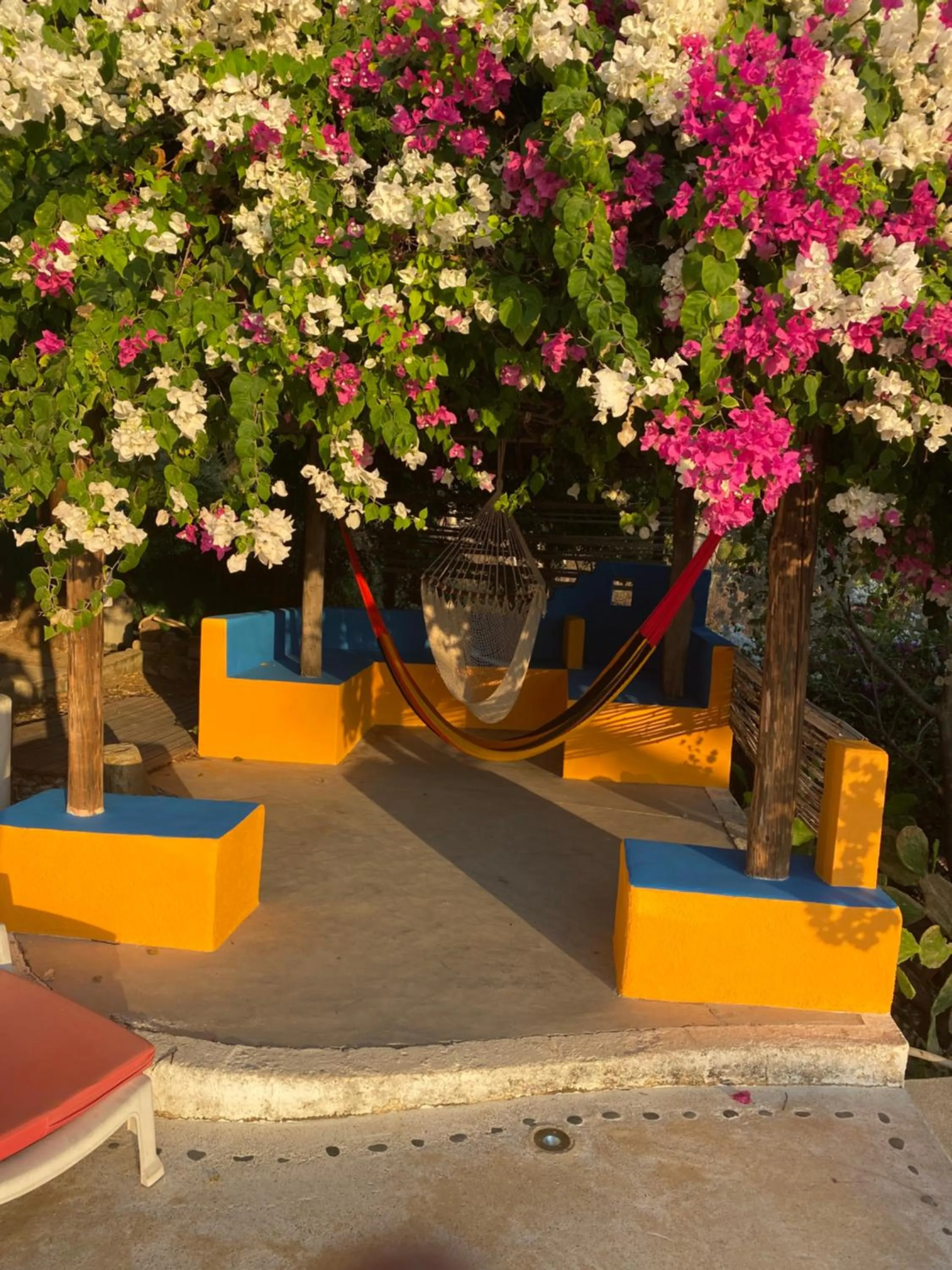 Garden in Beachfront Paradise Boutique Hotel