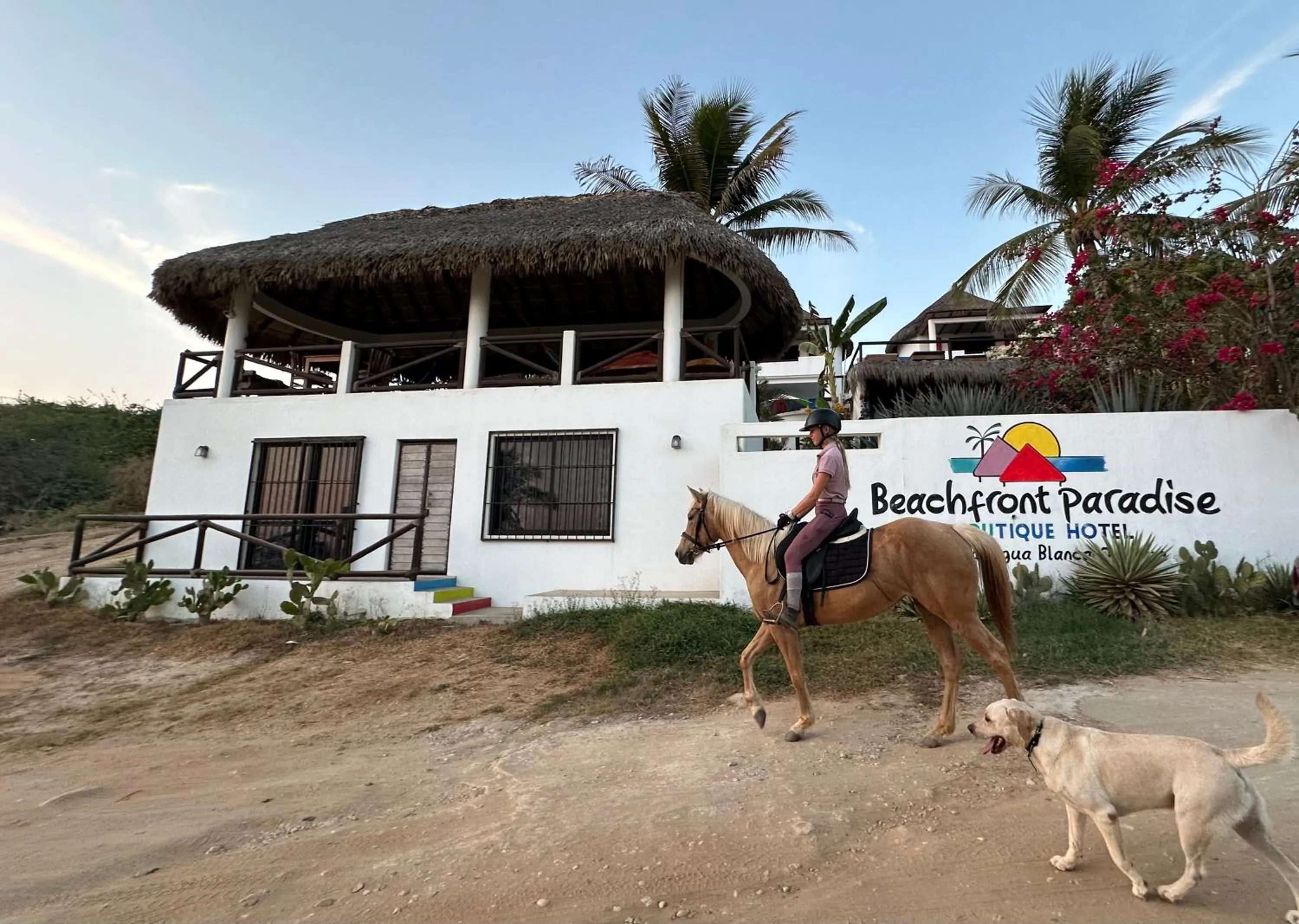 Beachfront Paradise Boutique Hotel